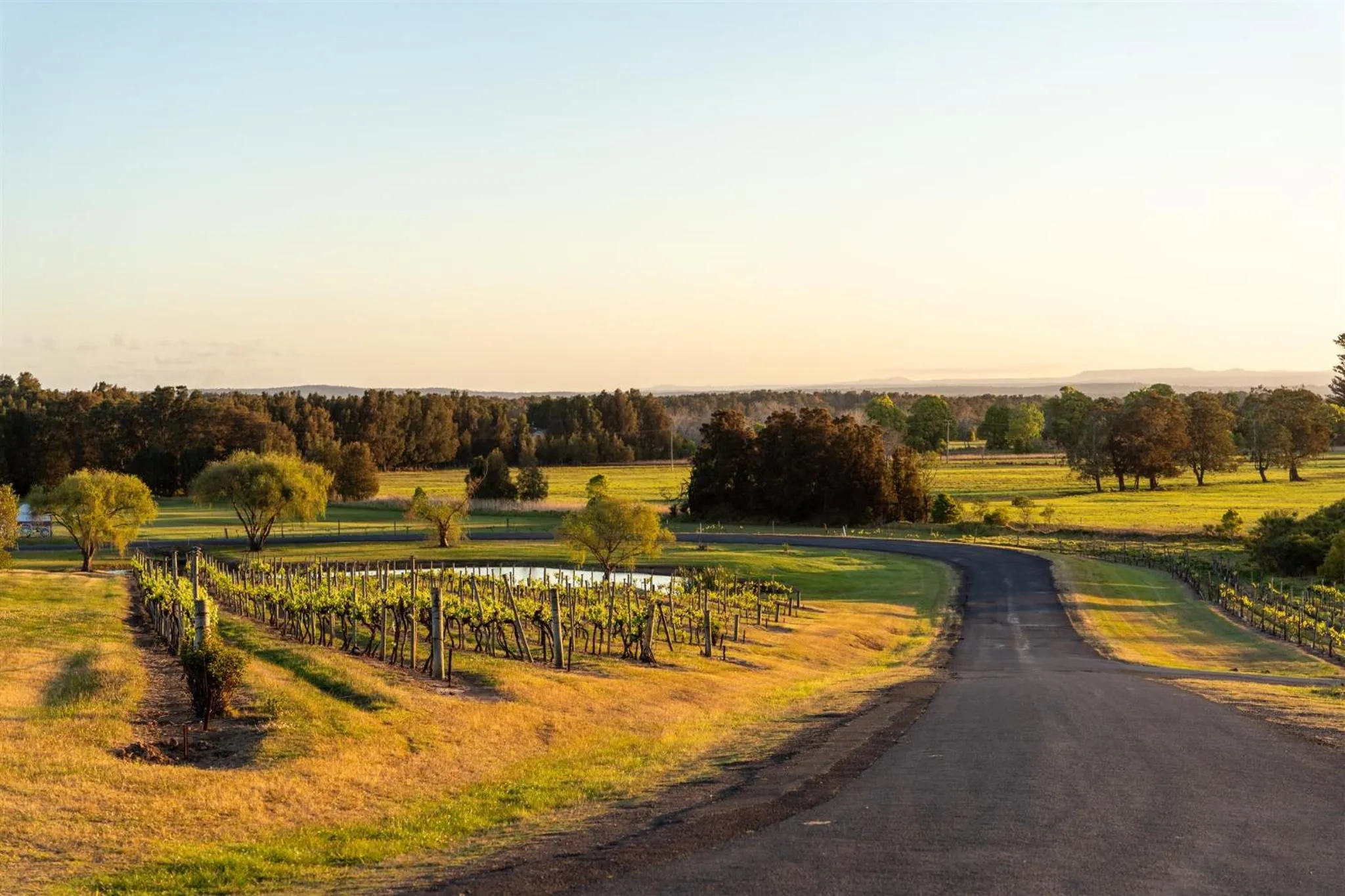 Facade/entrance in Coolangatta Estate Shoalhaven Heads