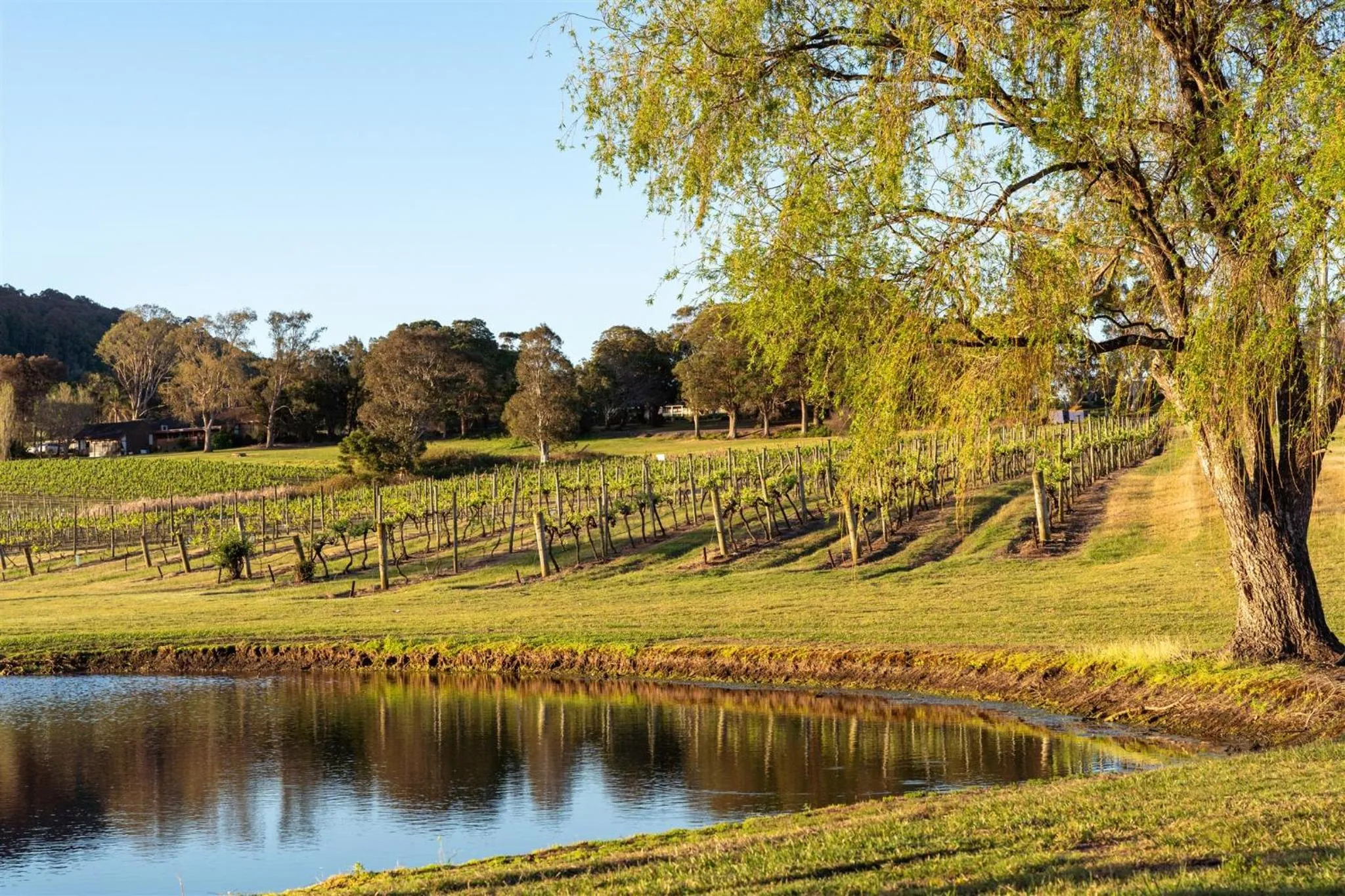 View (from property/room) in Coolangatta Estate Shoalhaven Heads