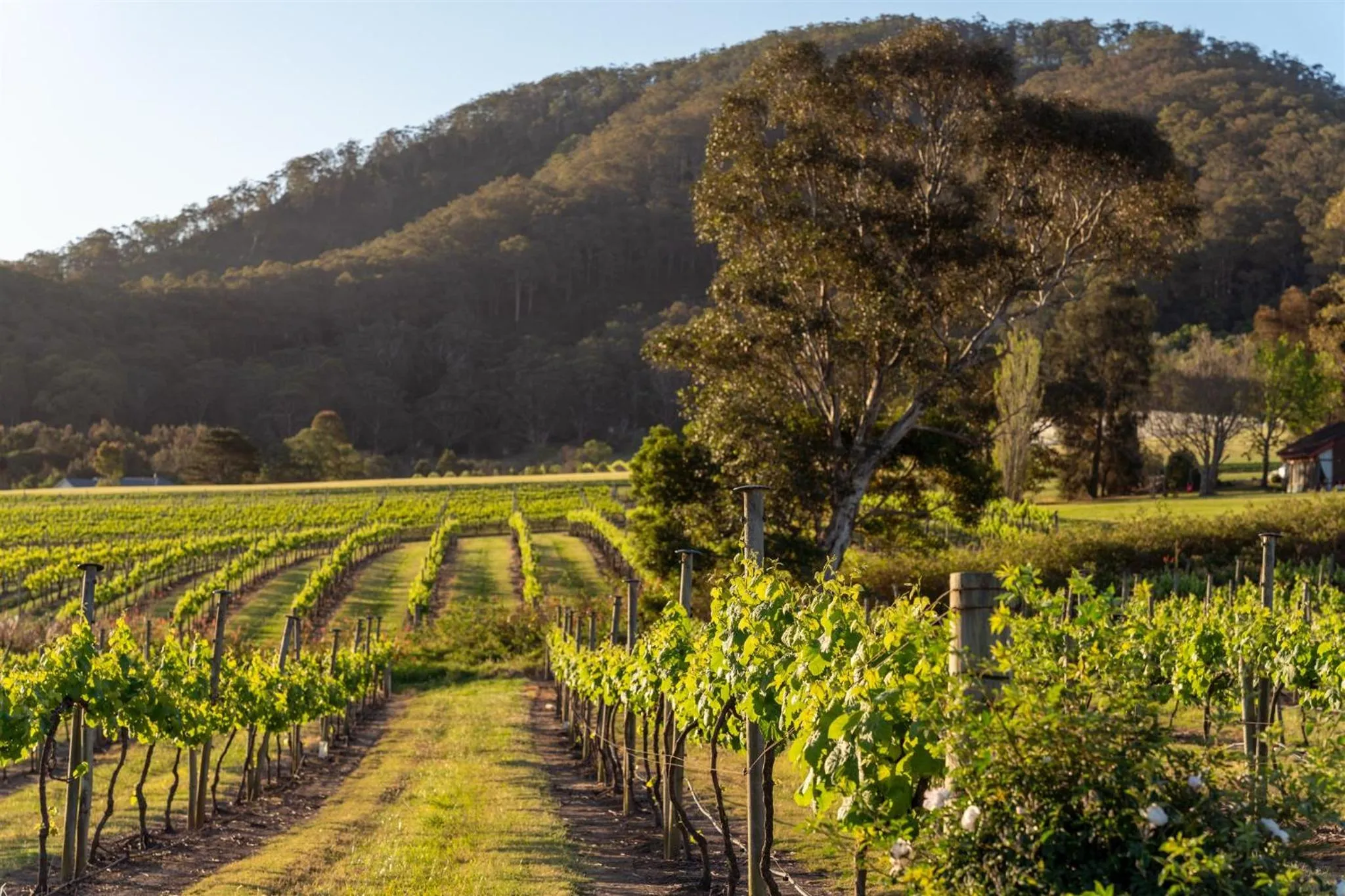 View (from property/room) in Coolangatta Estate Shoalhaven Heads