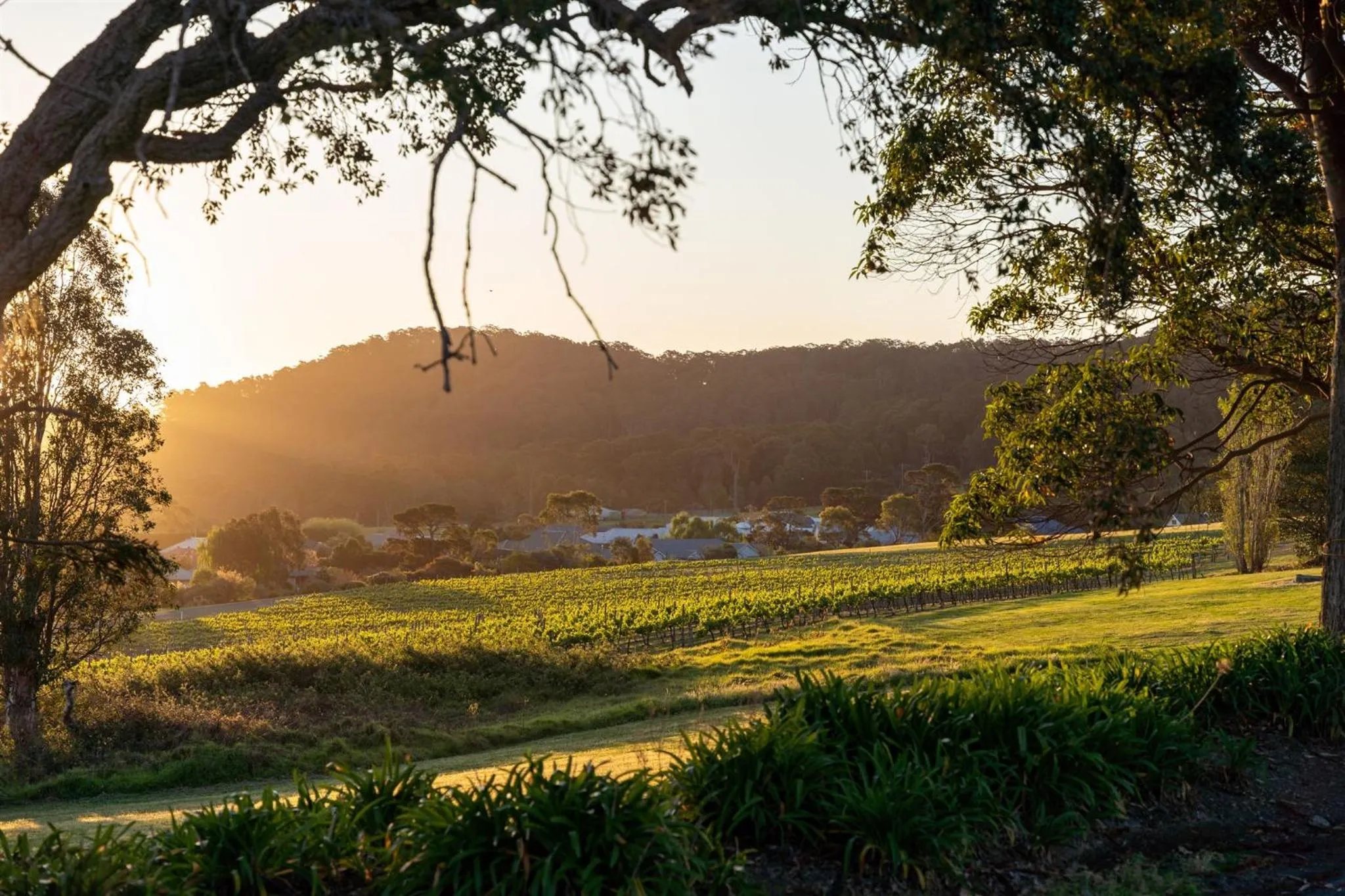 View (from property/room) in Coolangatta Estate Shoalhaven Heads