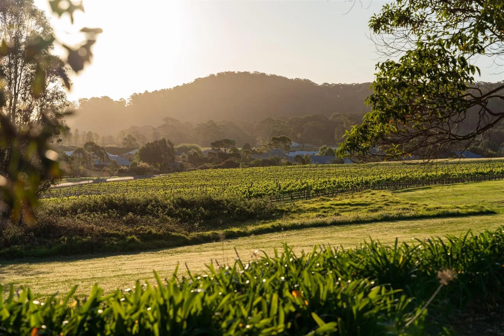 View (from property/room) in Coolangatta Estate Shoalhaven Heads