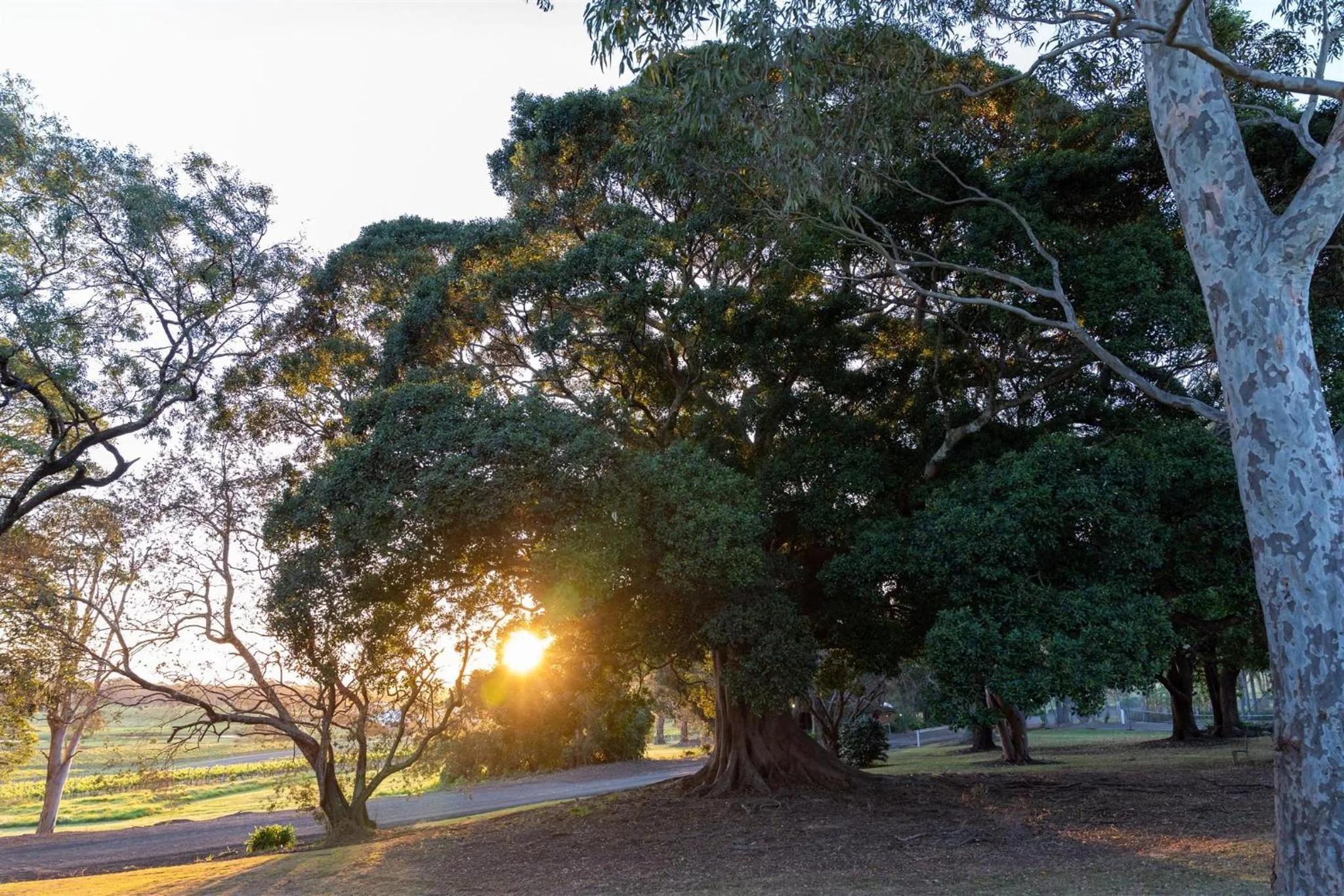 View (from property/room) in Coolangatta Estate Shoalhaven Heads