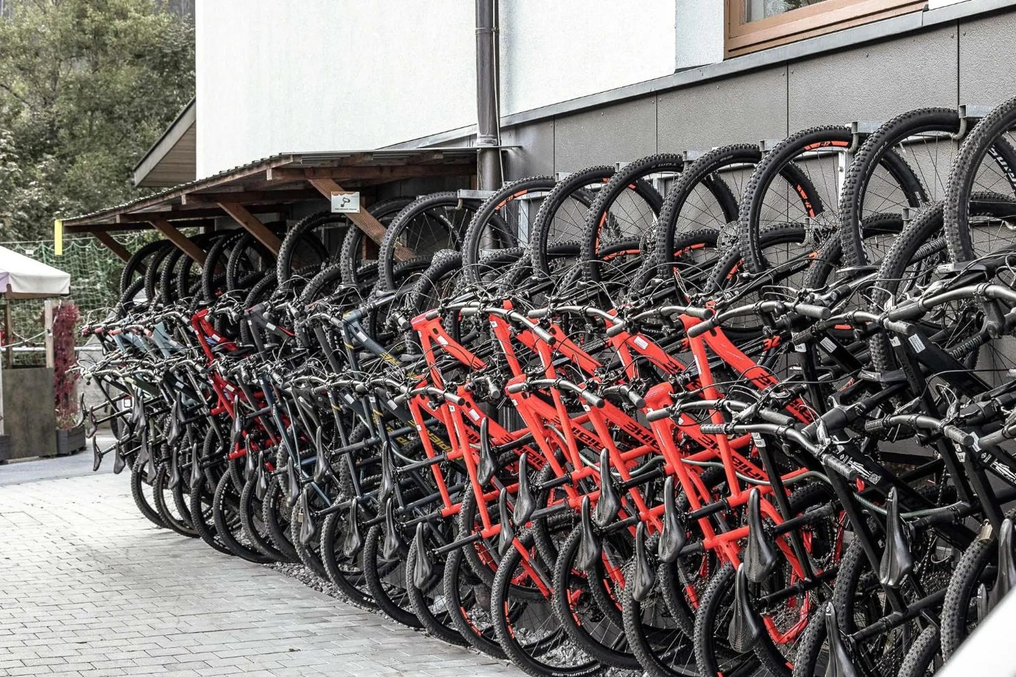 Cycling in Harmls Aparthotel