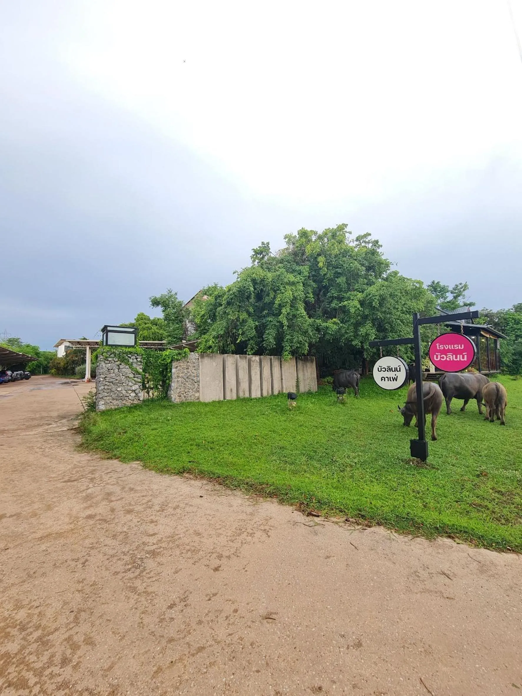 Natural landscape in Bualinn Resort