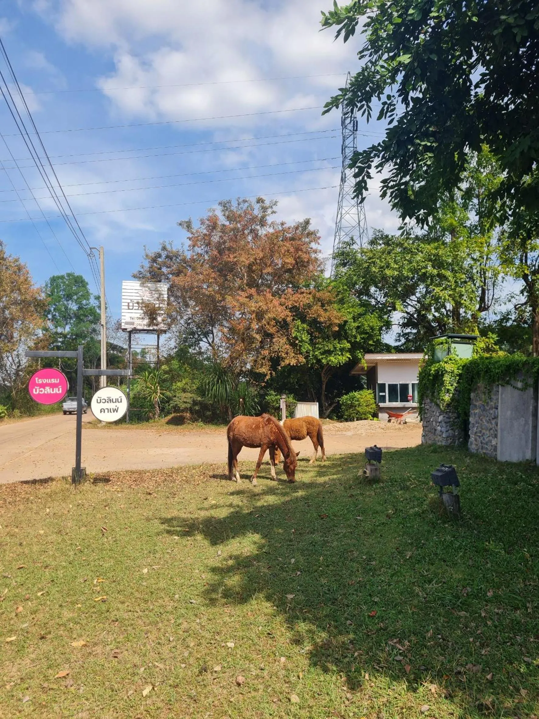 Facade/entrance in Bualinn Resort