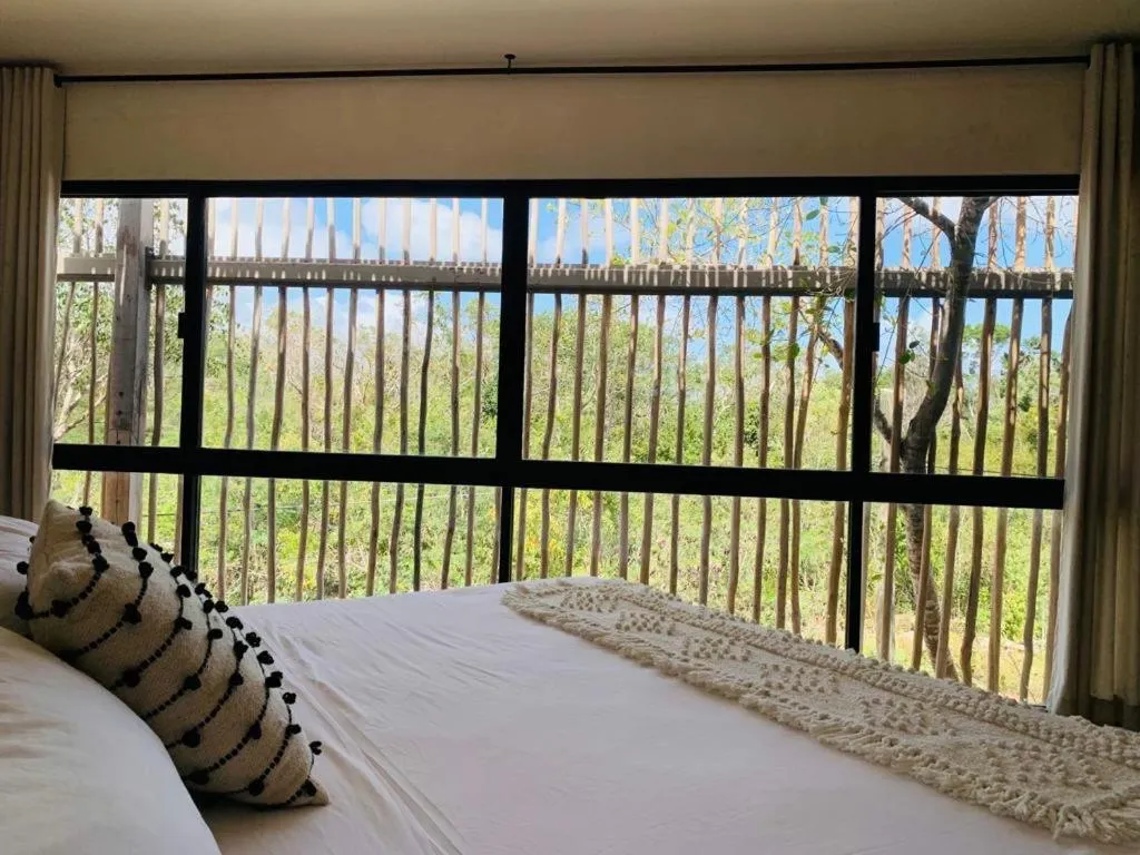 View (from property/room) in Vida Boho Apart 12 with special fee to access Hotel Bardo