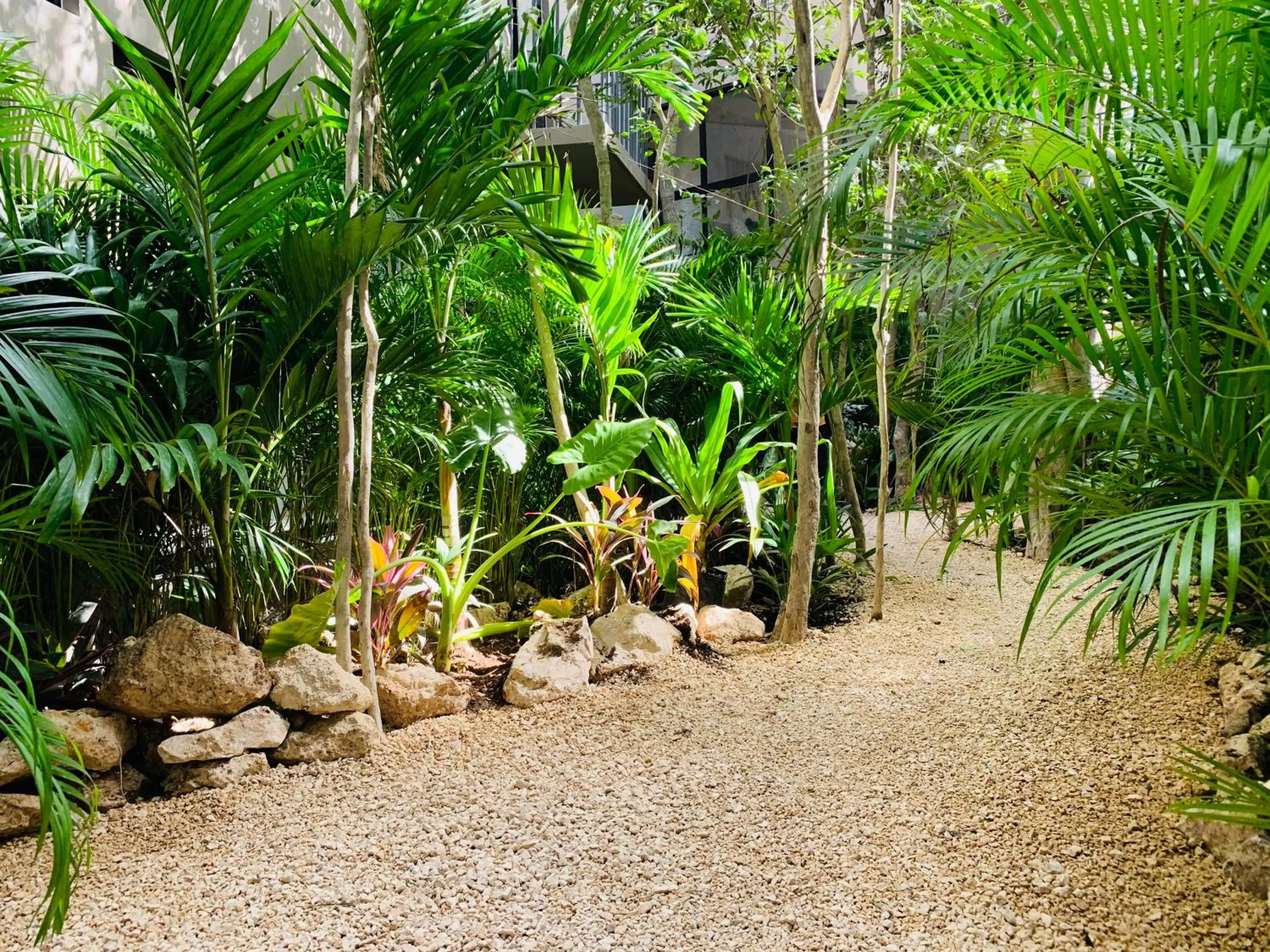 Property building in Vida Boho Apart 12 with special fee to access Hotel Bardo