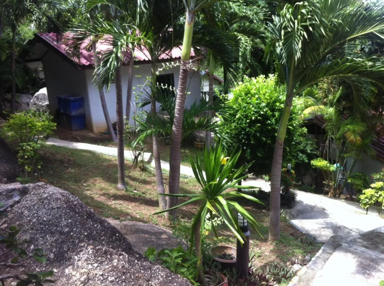 Property building in Venus Resort