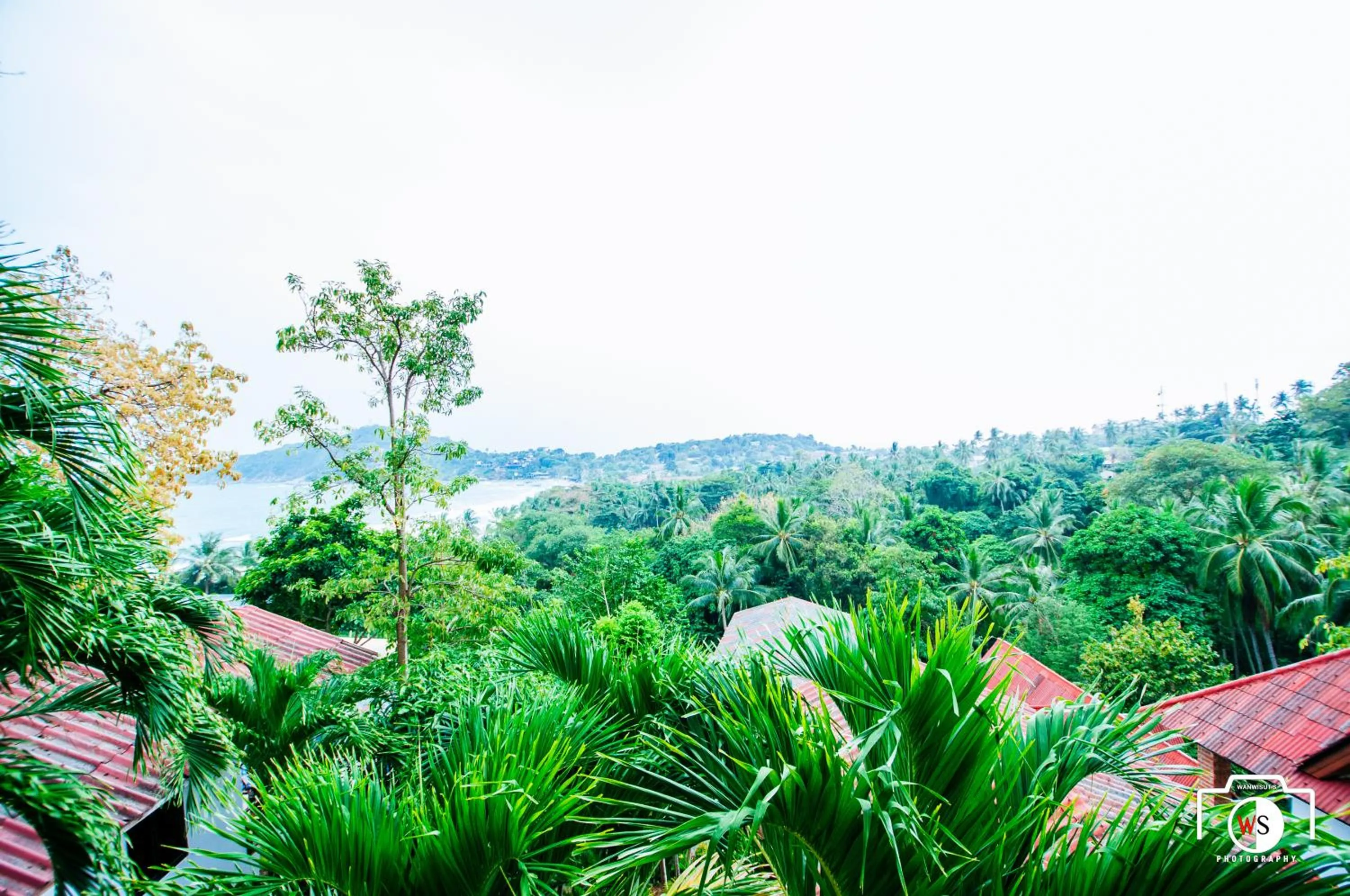 Natural landscape in Venus Resort