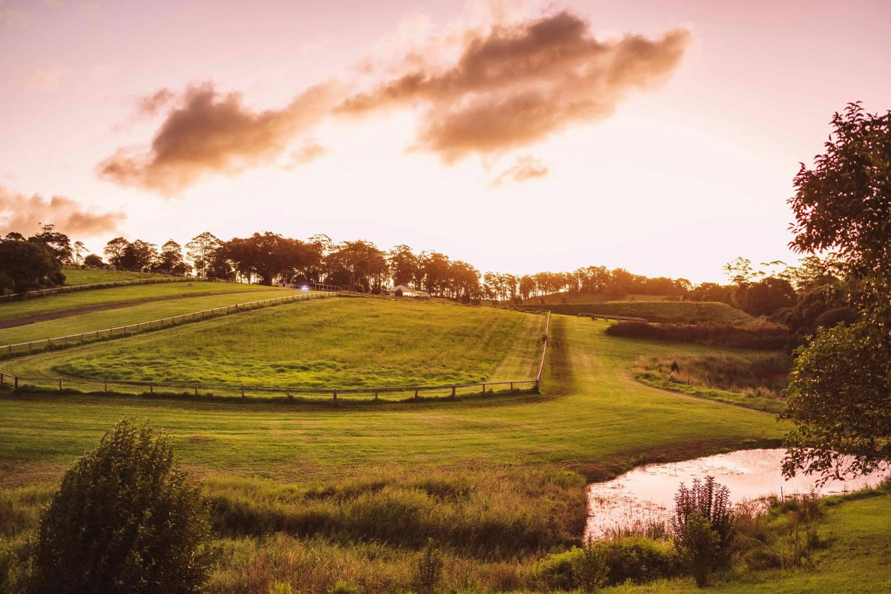 Natural landscape in Beechmont Estate