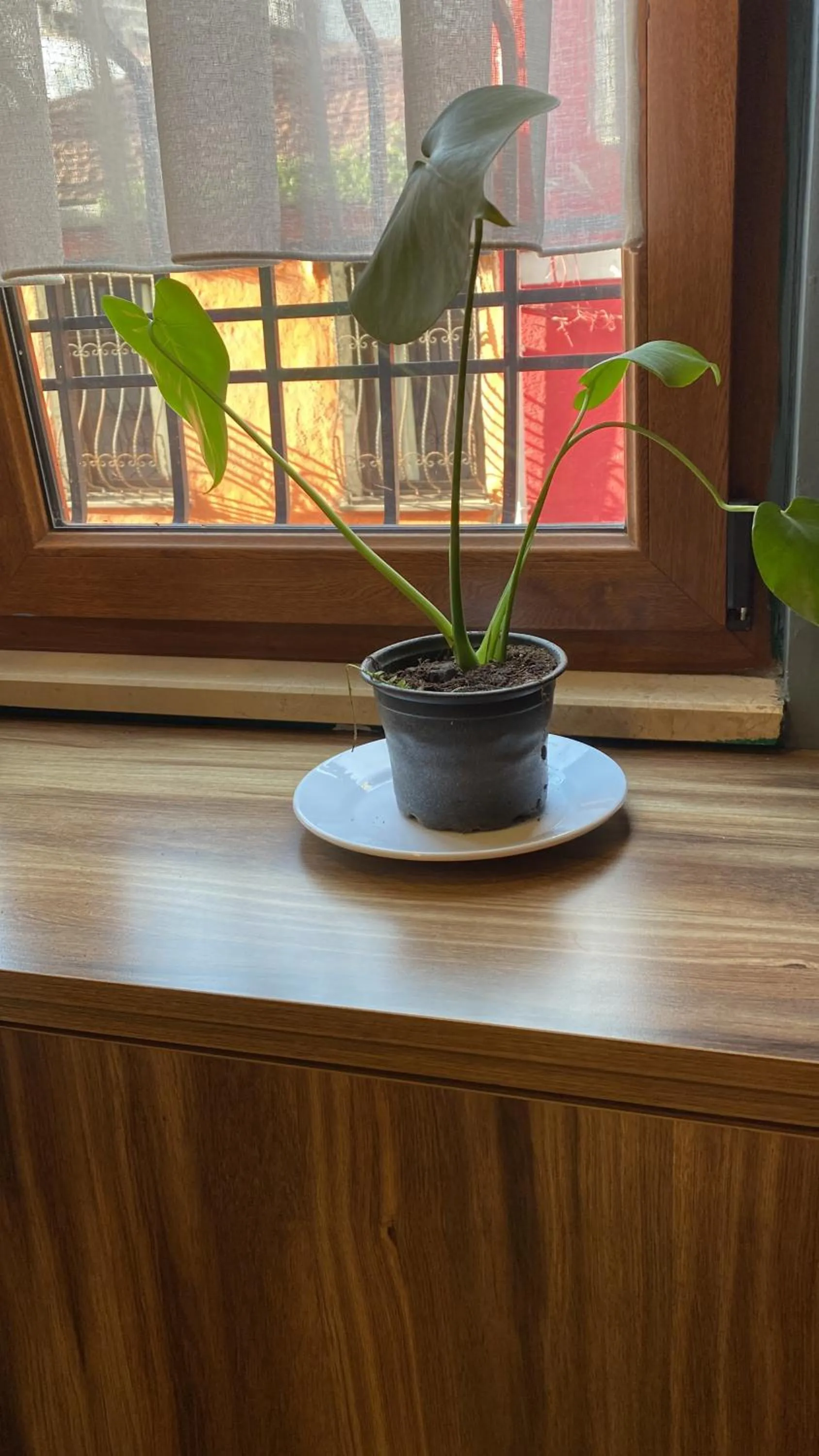 View (from property/room) in Istanbul Hub Flats