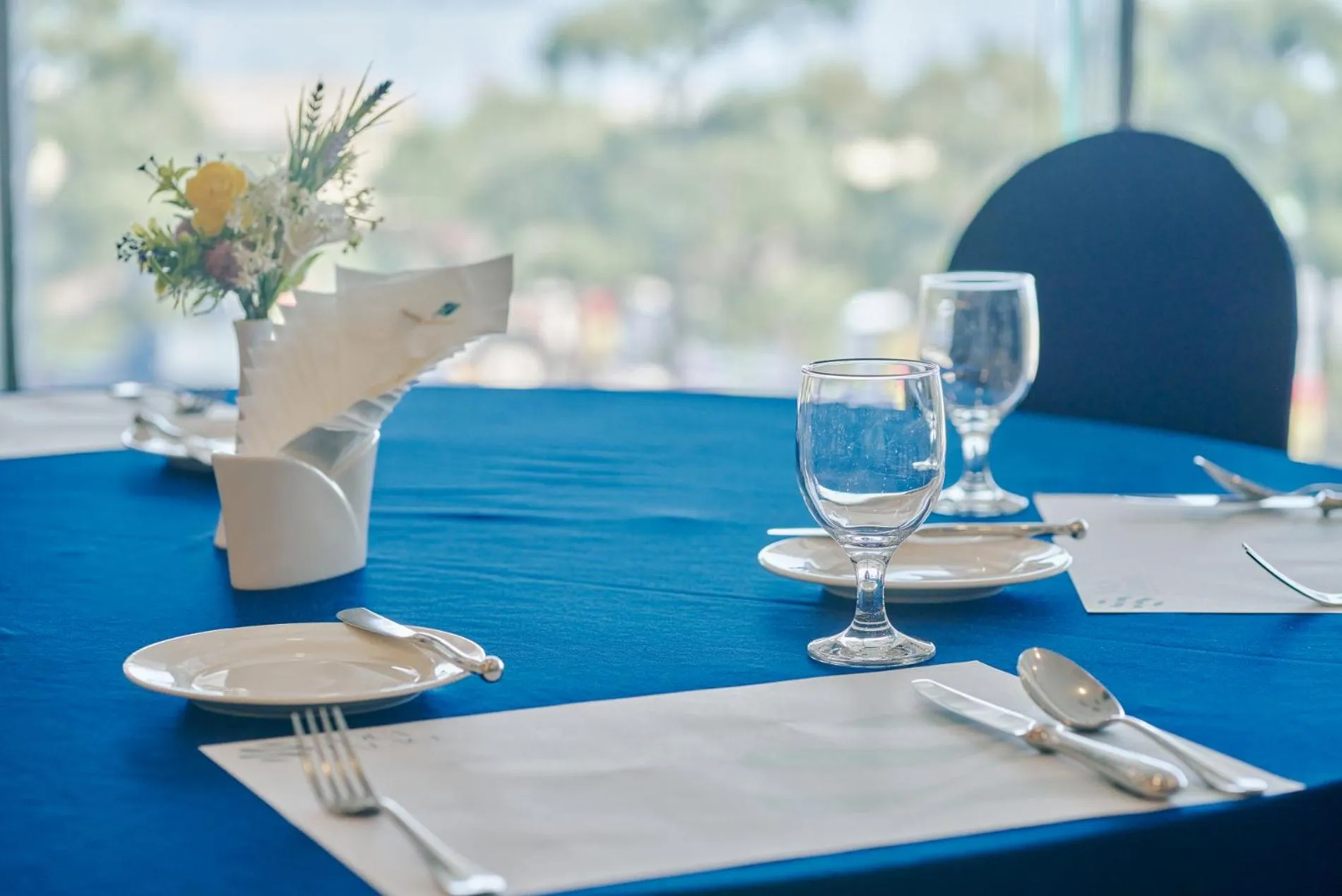 Banquet/Function facilities in Hotel Aqua Palace