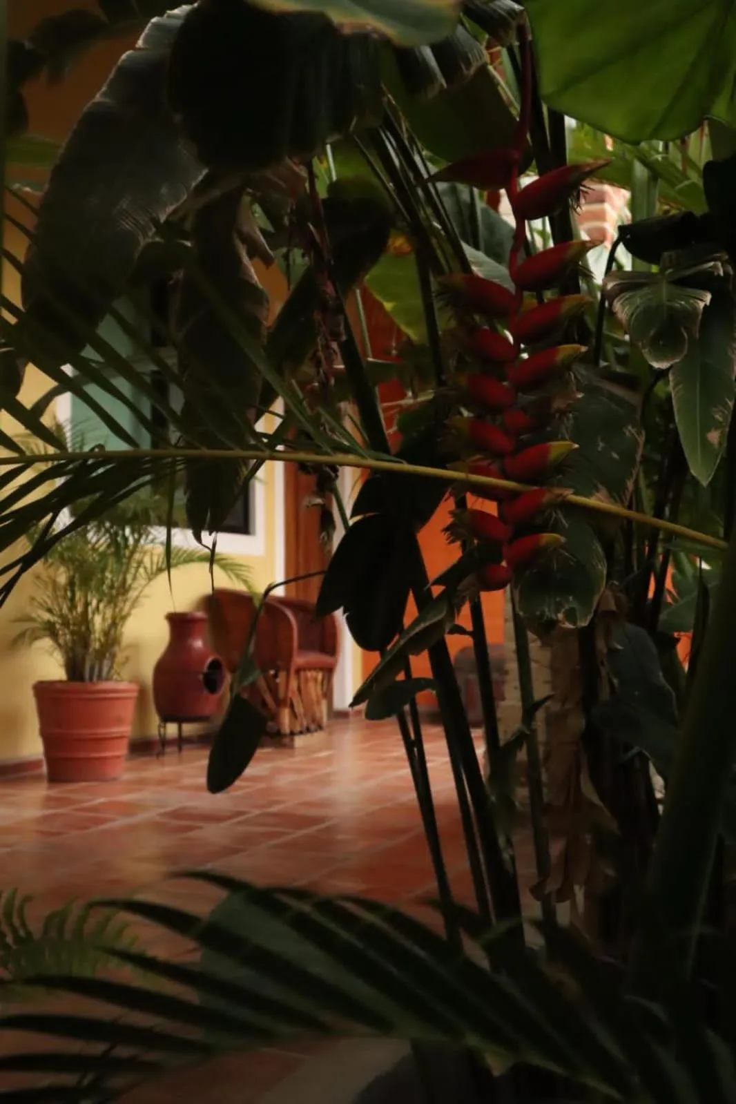 Hotel Boutique Sol y Luna SPA