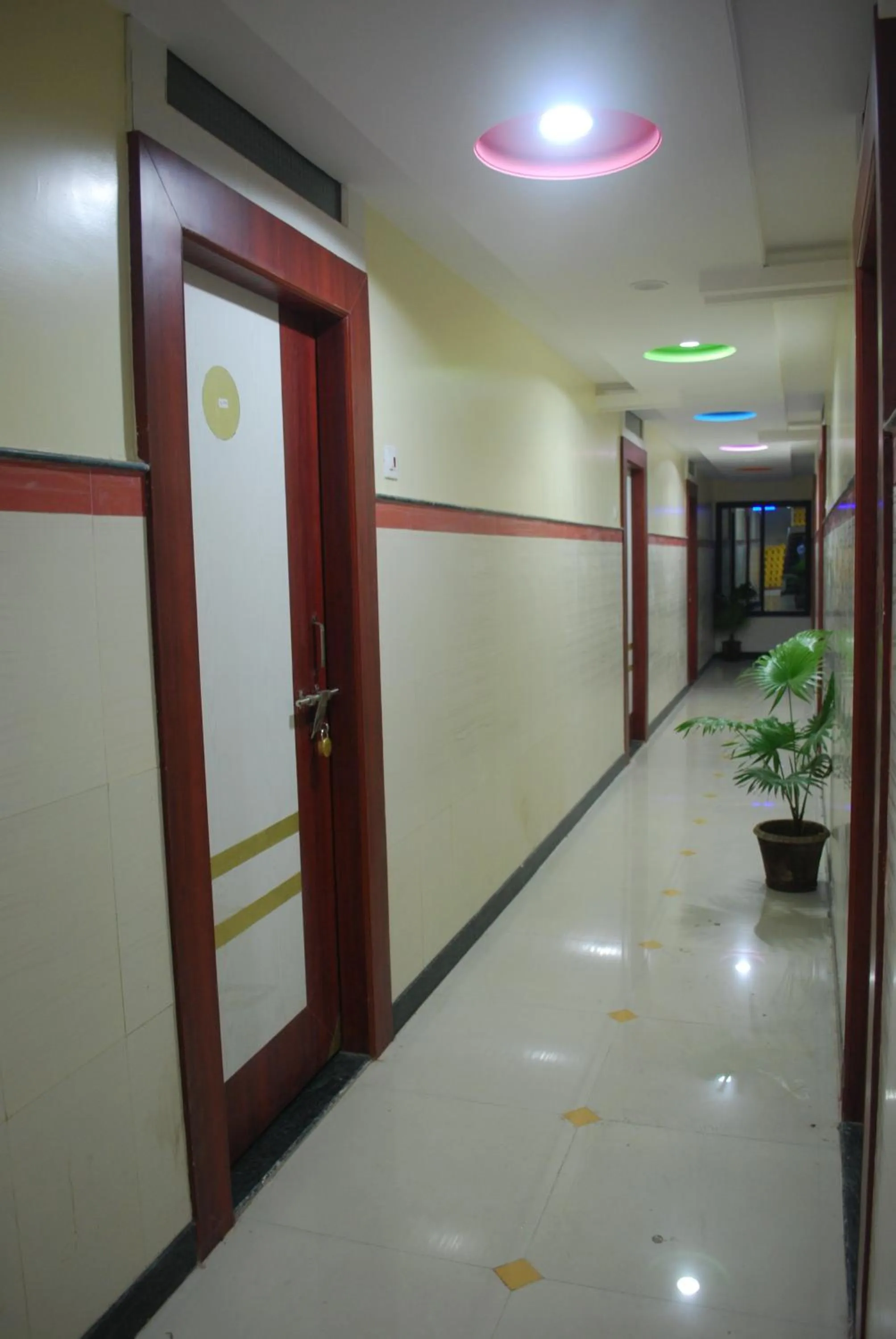 Decorative detail in Hotel Disha Palace