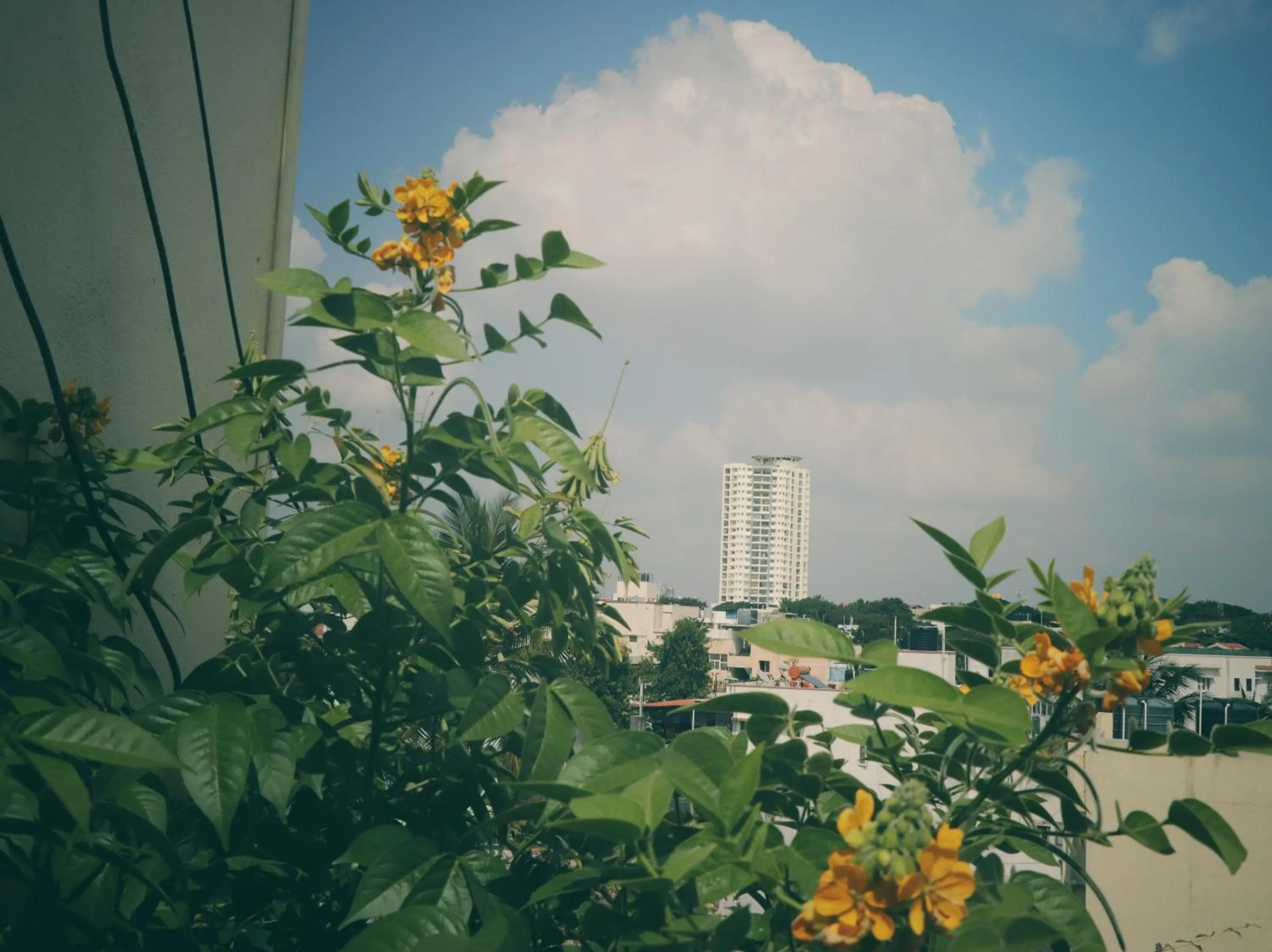 View (from property/room) in The Green Path Eco Hotel