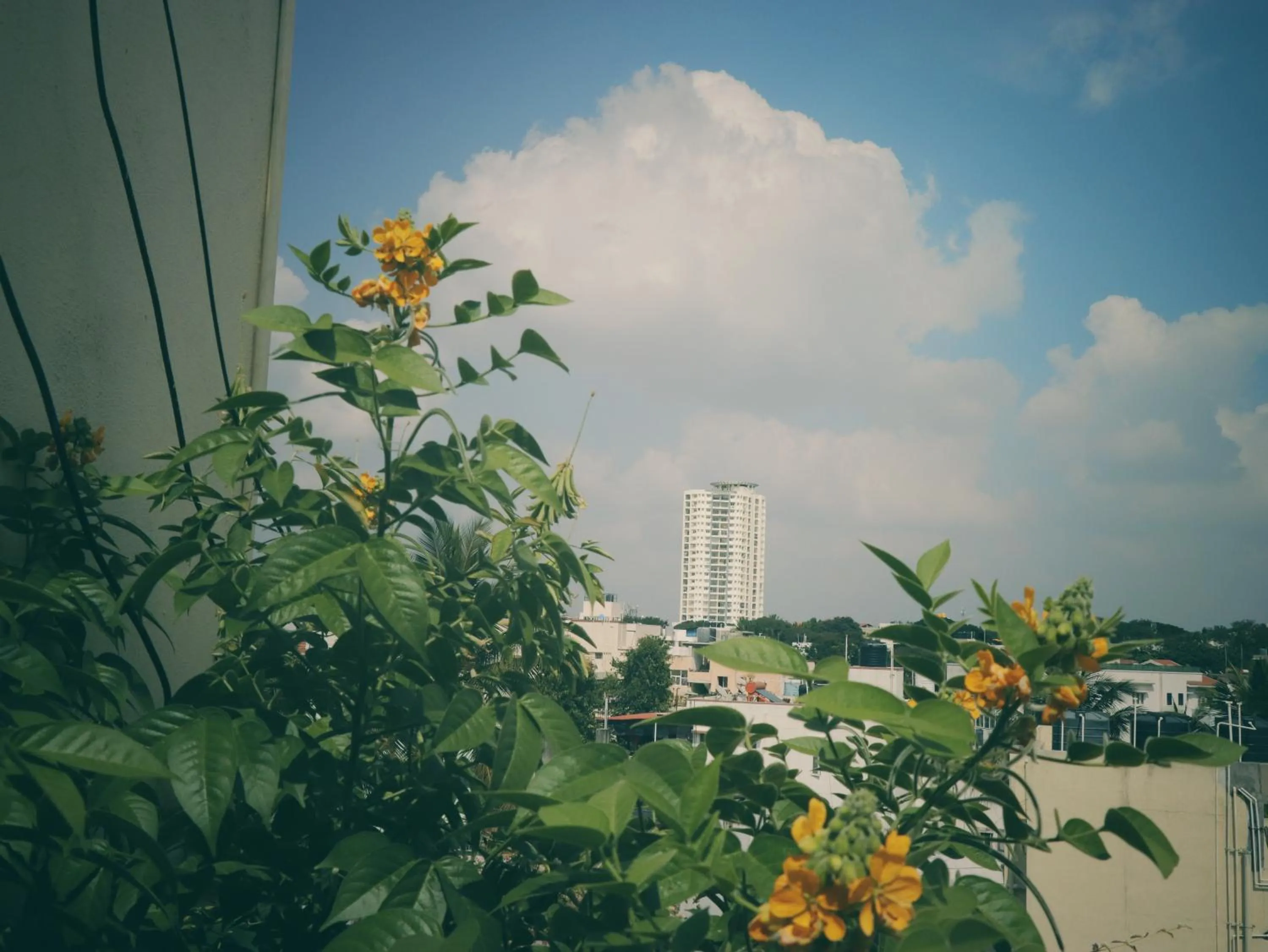 View (from property/room) in The Green Path Eco Hotel