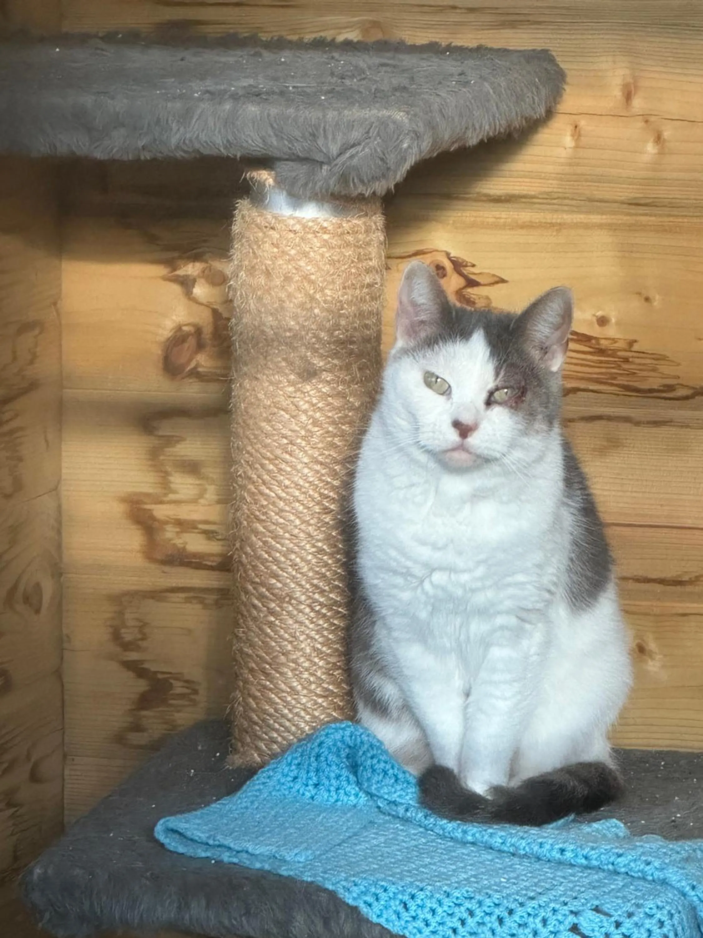 Pets in Hoeve Chartreuse