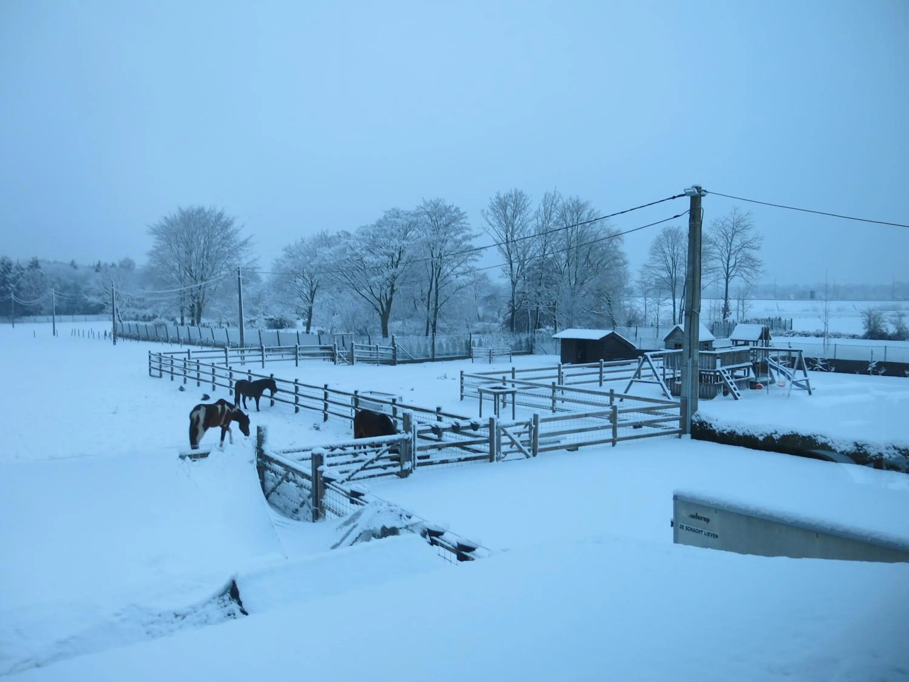 Winter in Hoeve Chartreuse