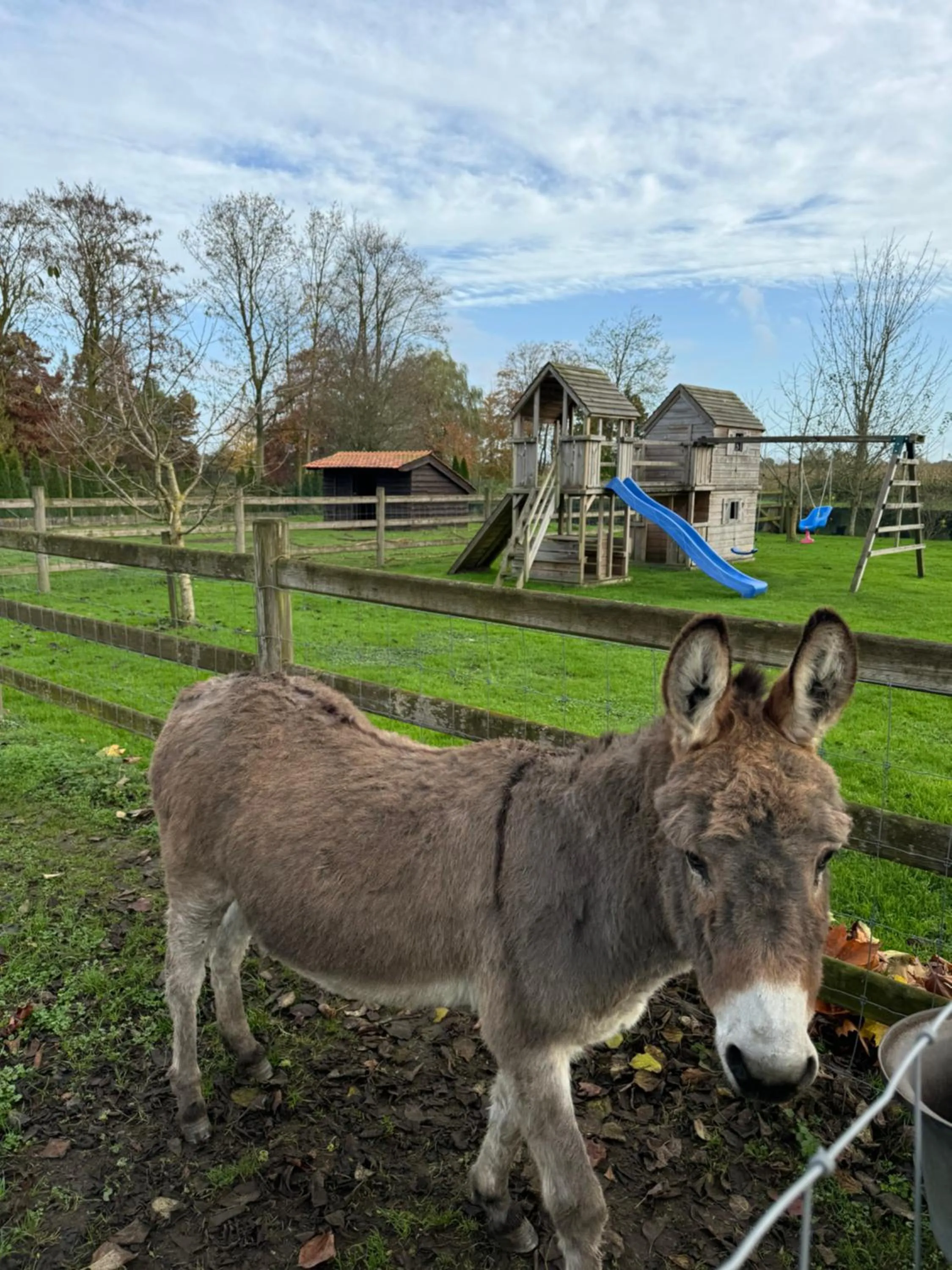 Animals in Hoeve Chartreuse