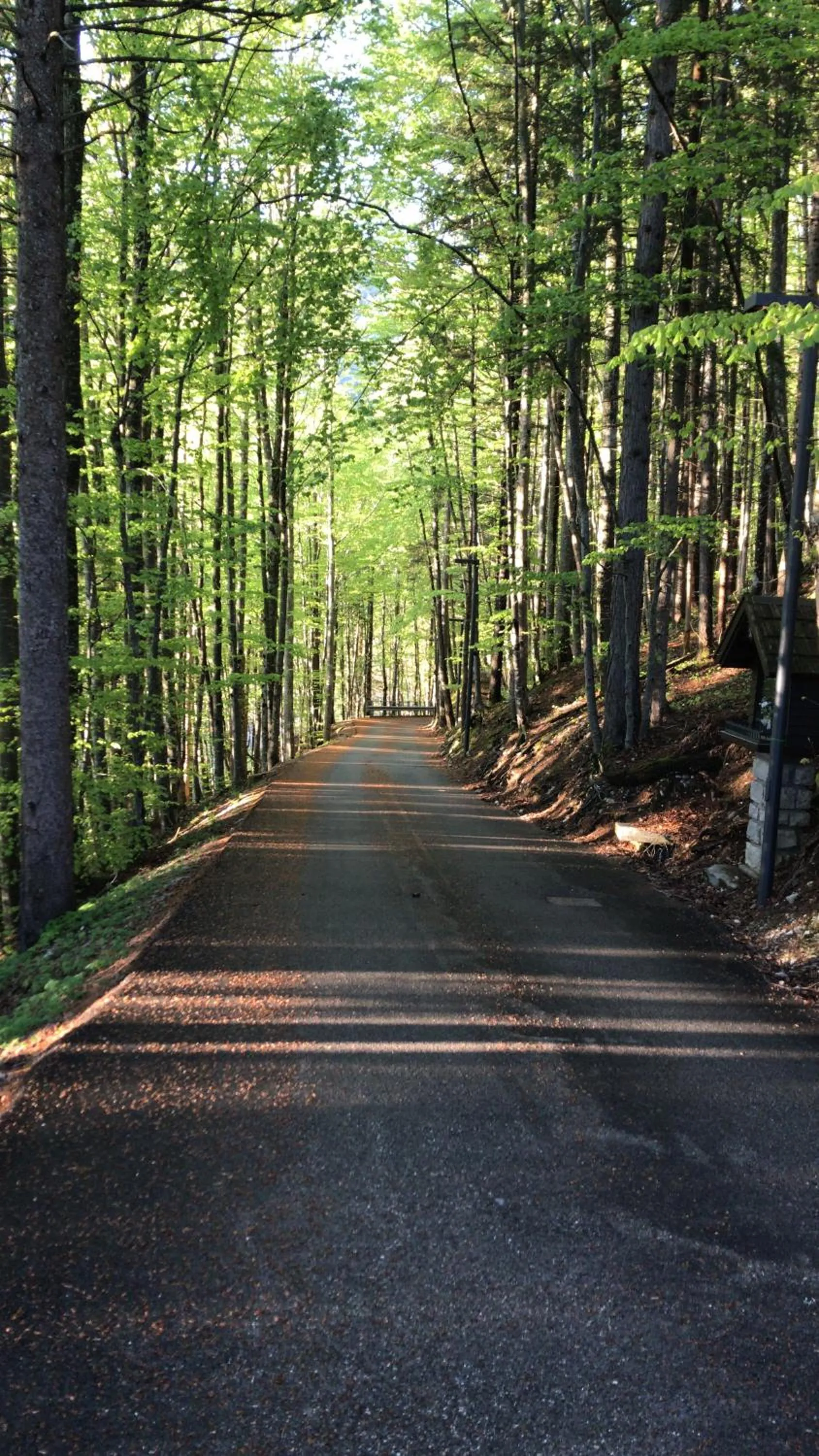 Natural landscape in Casa Santa Maria