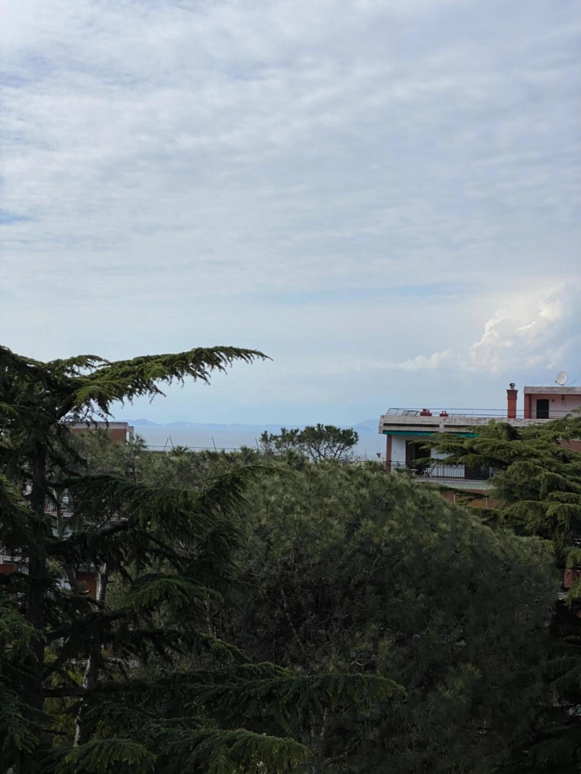 Natural landscape in Sorrento Inn Lodge