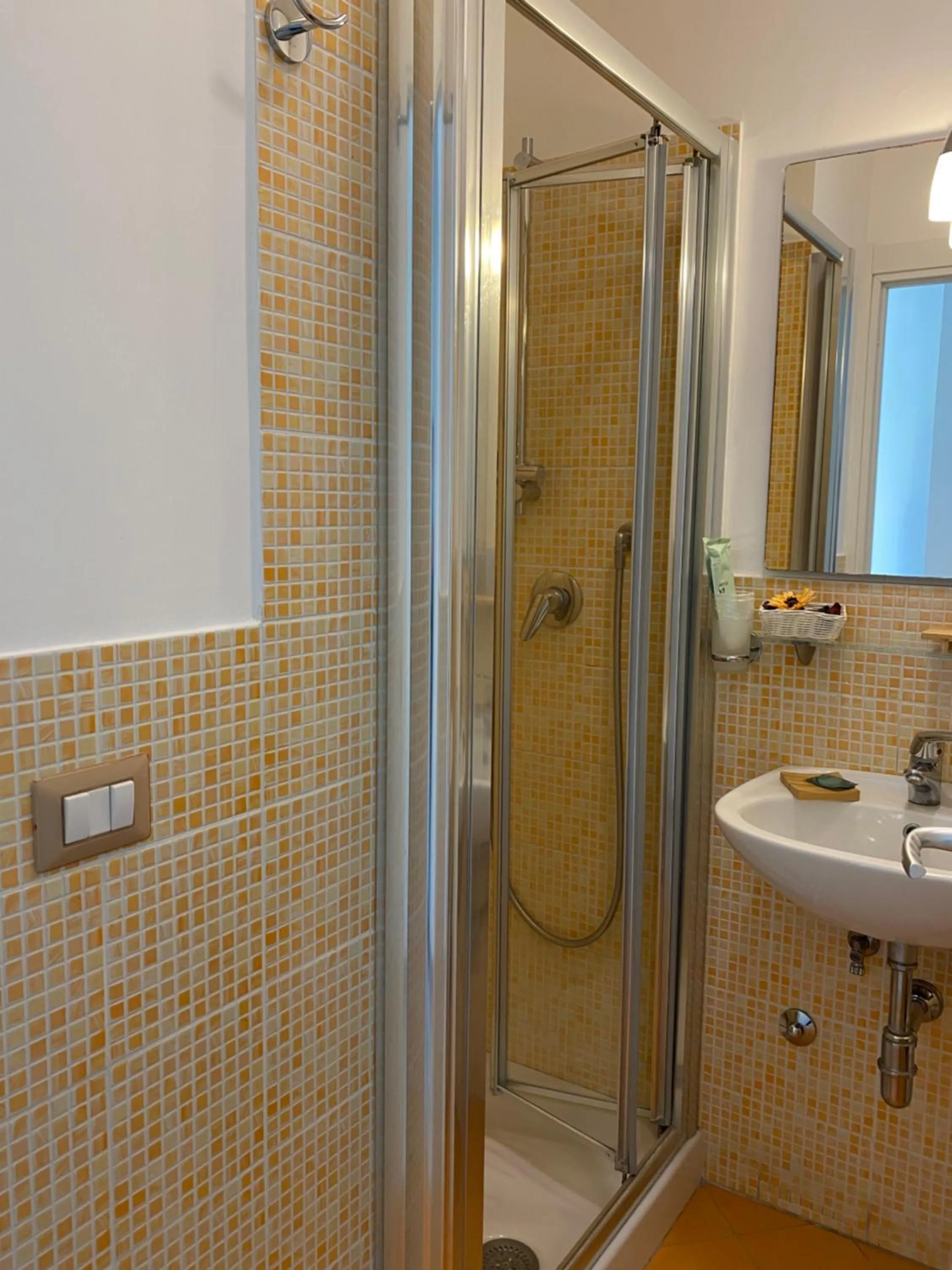 Shower in Sorrento Inn Lodge