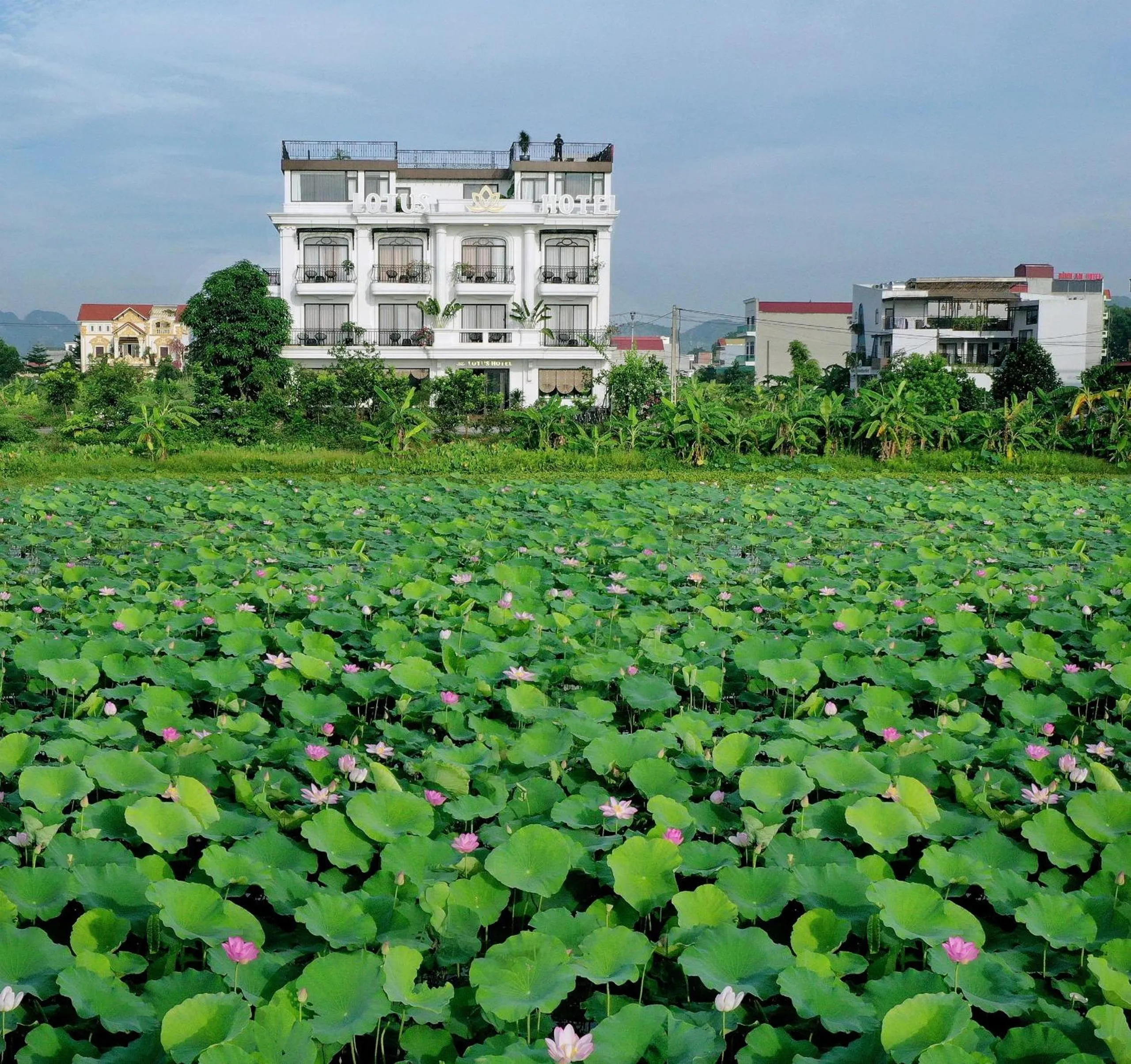Property building in Lotus Hotel Ninh Bình