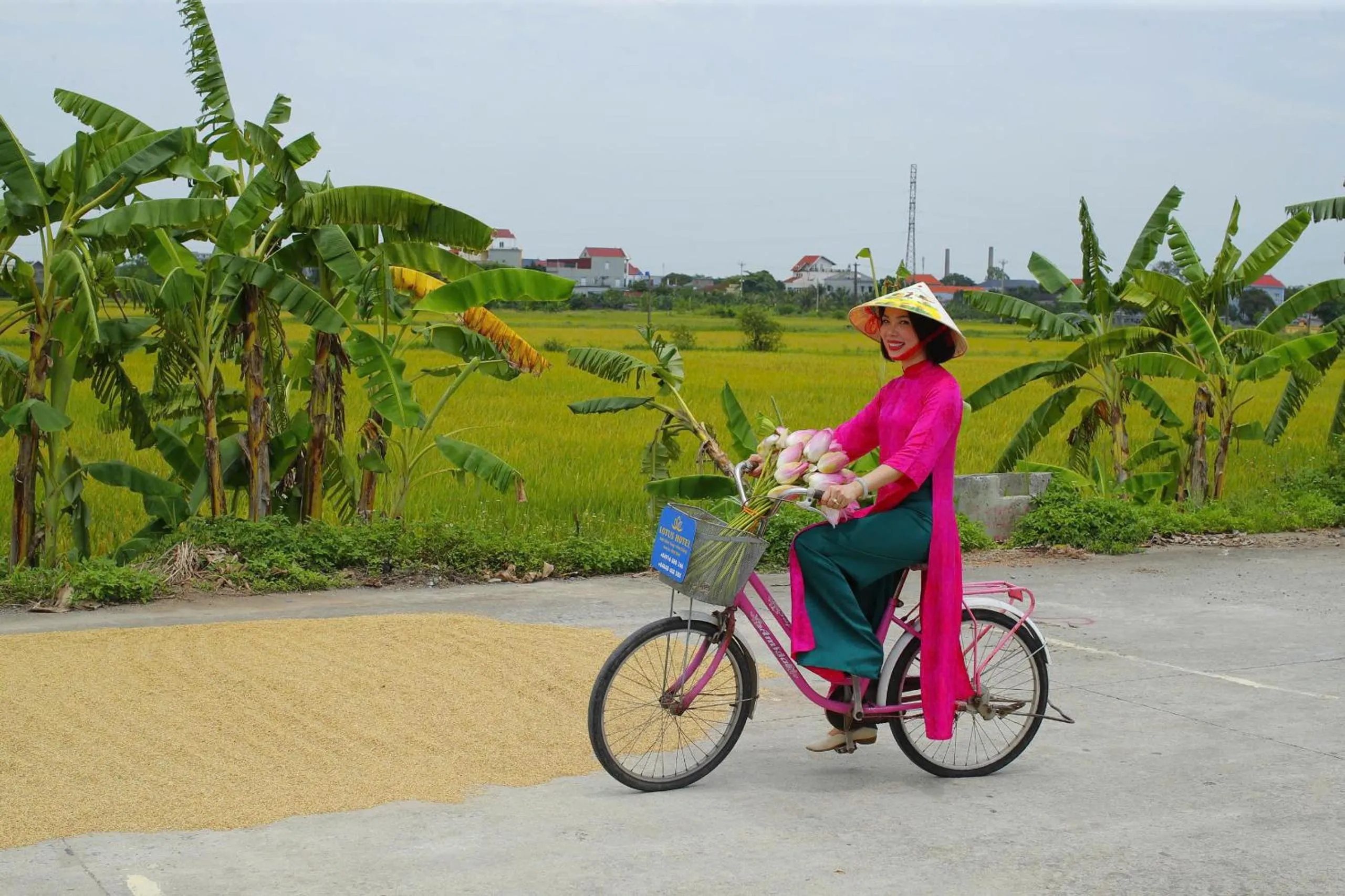 View (from property/room) in Lotus Hotel Ninh Bình
