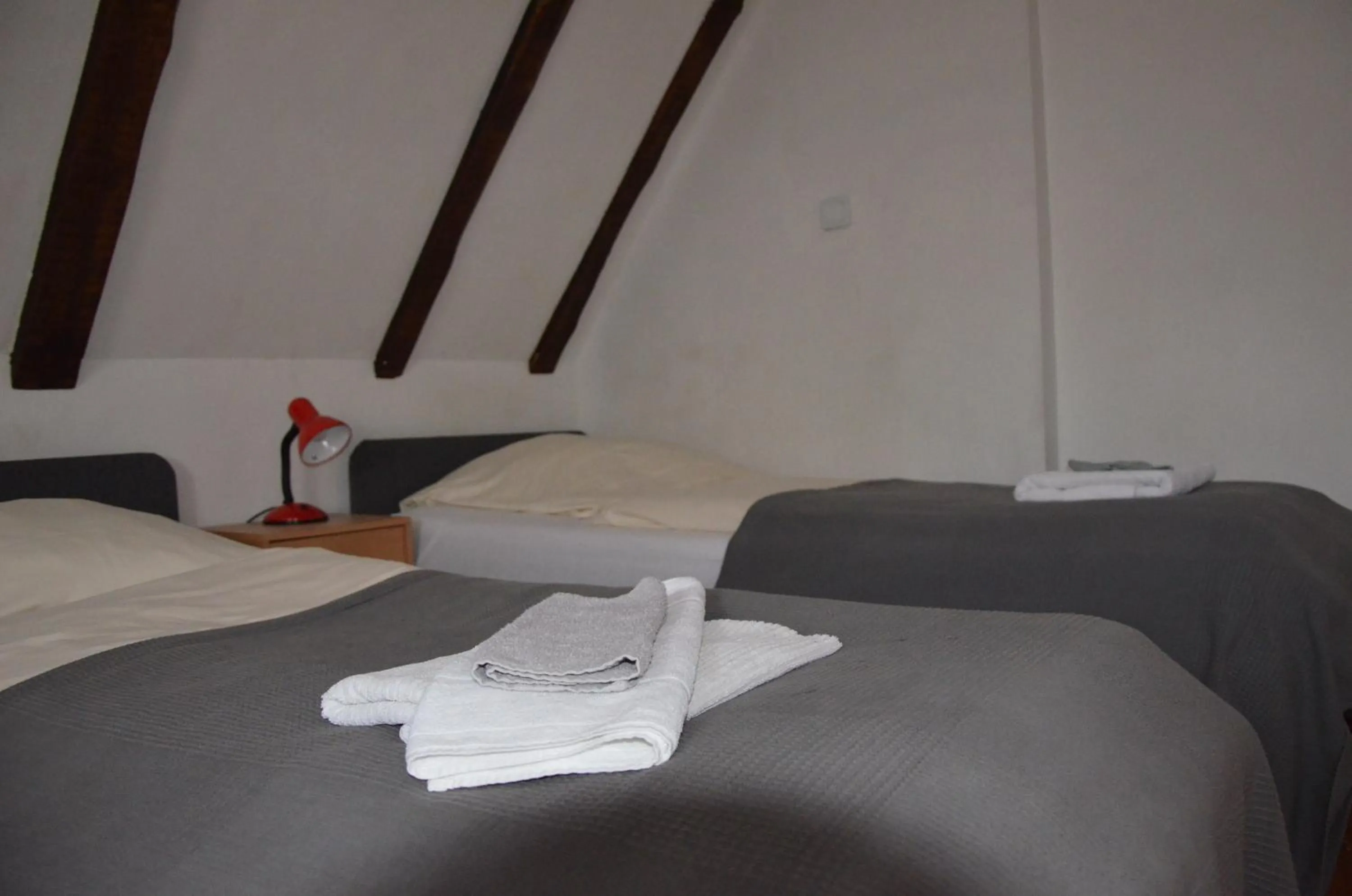 Photo of the whole room, Bed in Zielony Dom