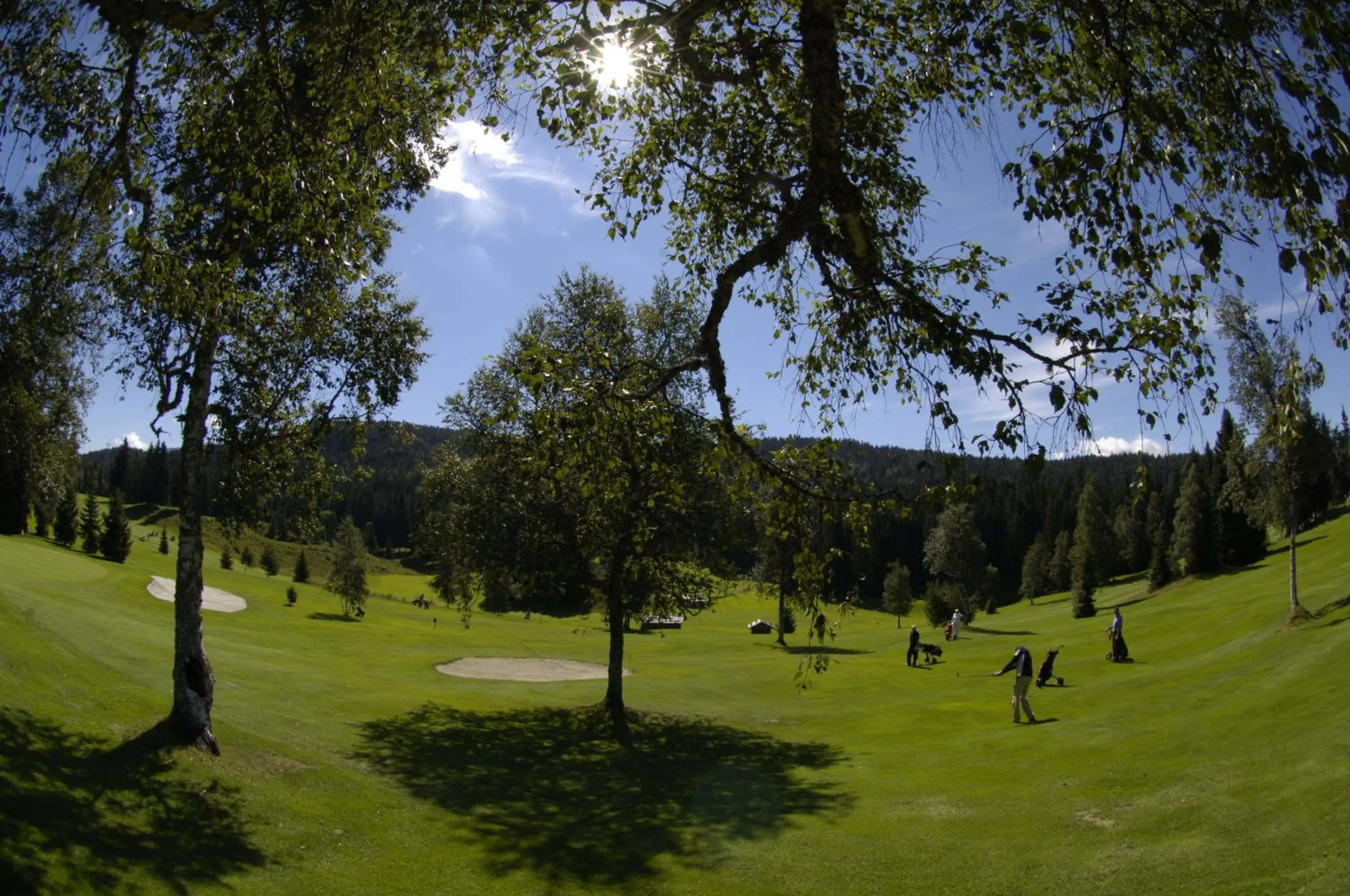 Activities in A-VITA Viktoria & A-VITA living luxury apartments