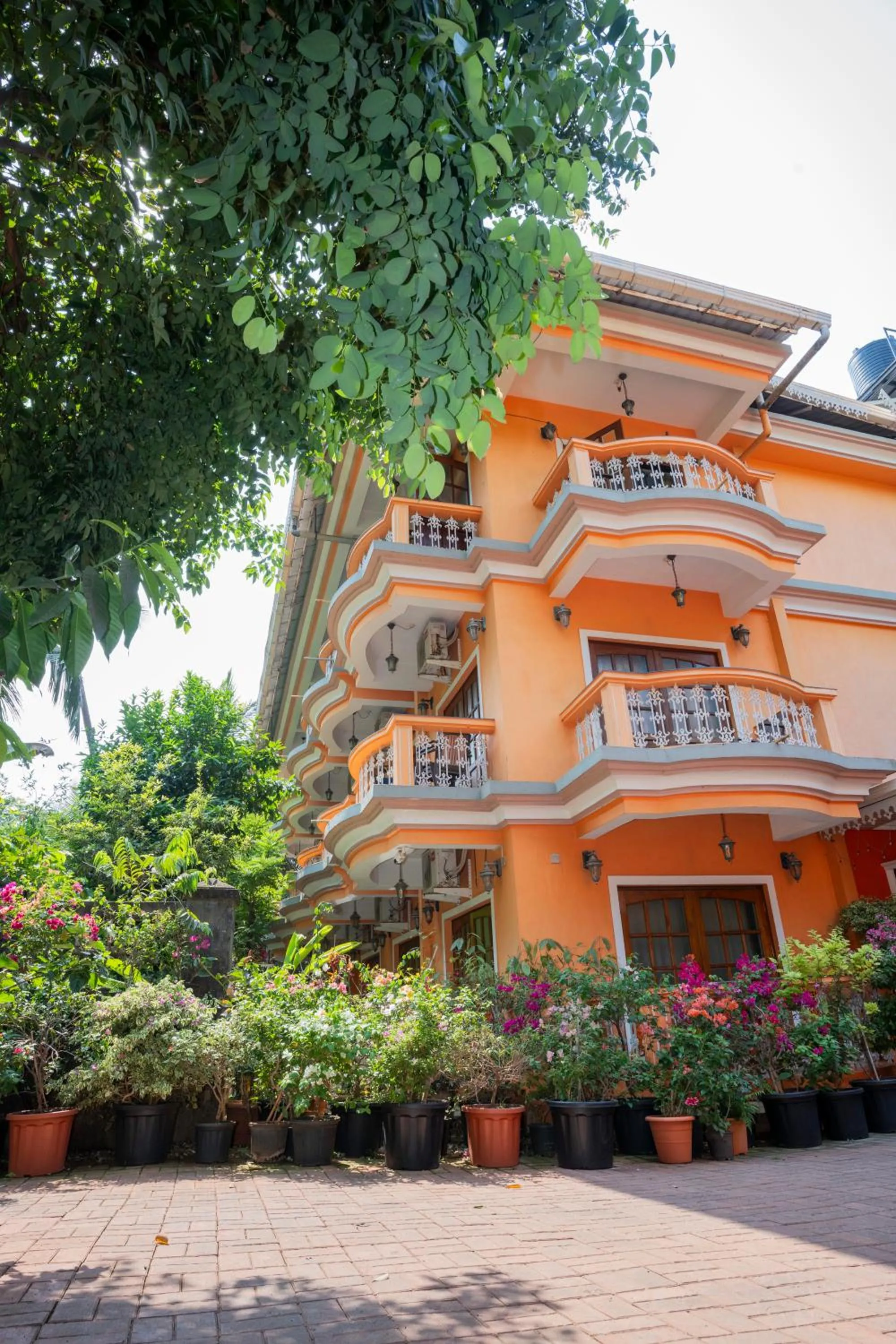 Resort Palmeiras Dourado