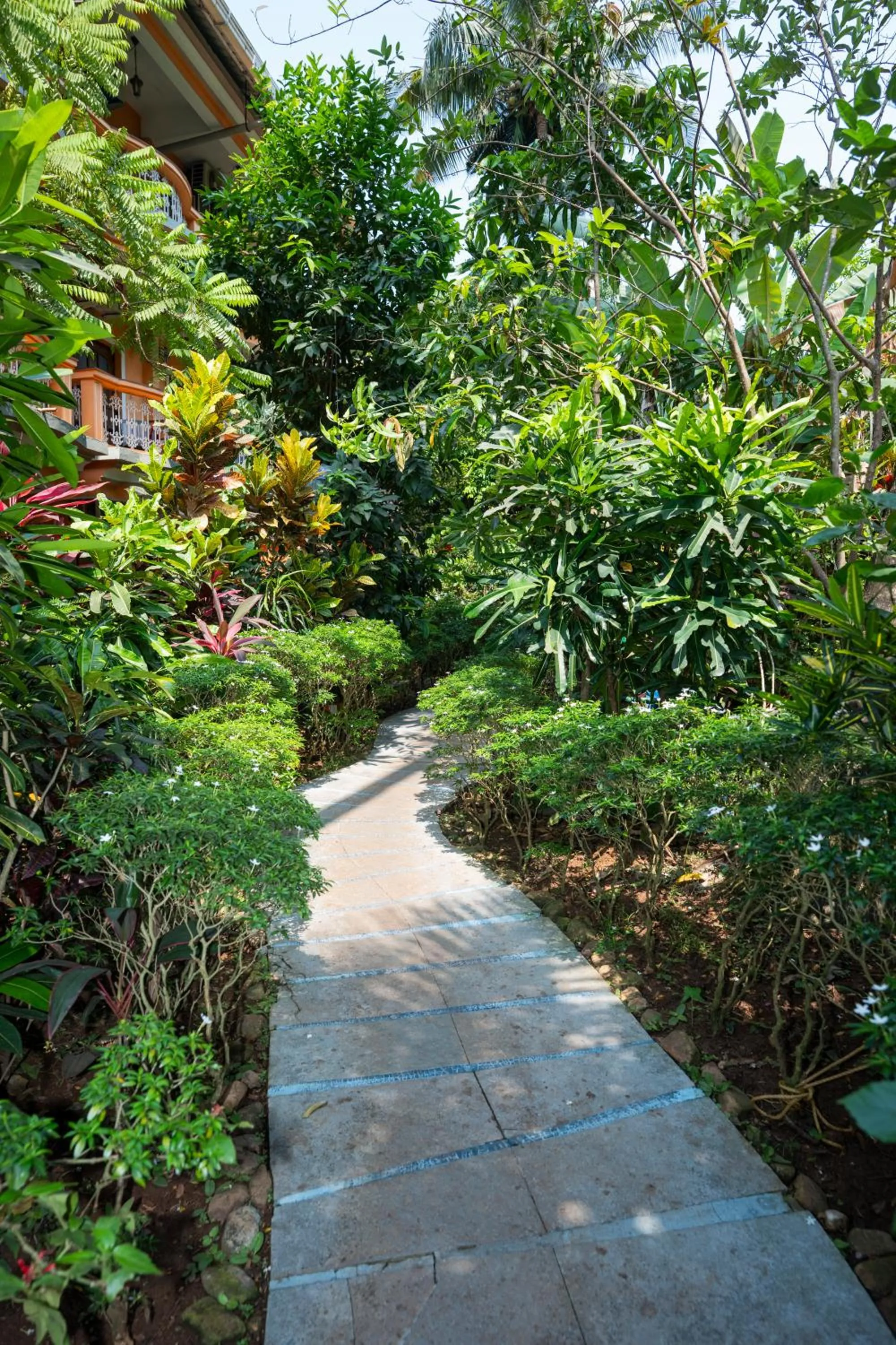 Garden in Resort Palmeiras Dourado