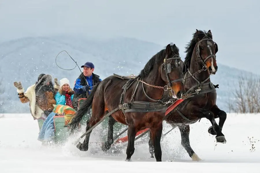 Hotel Vitaler Landauerhof