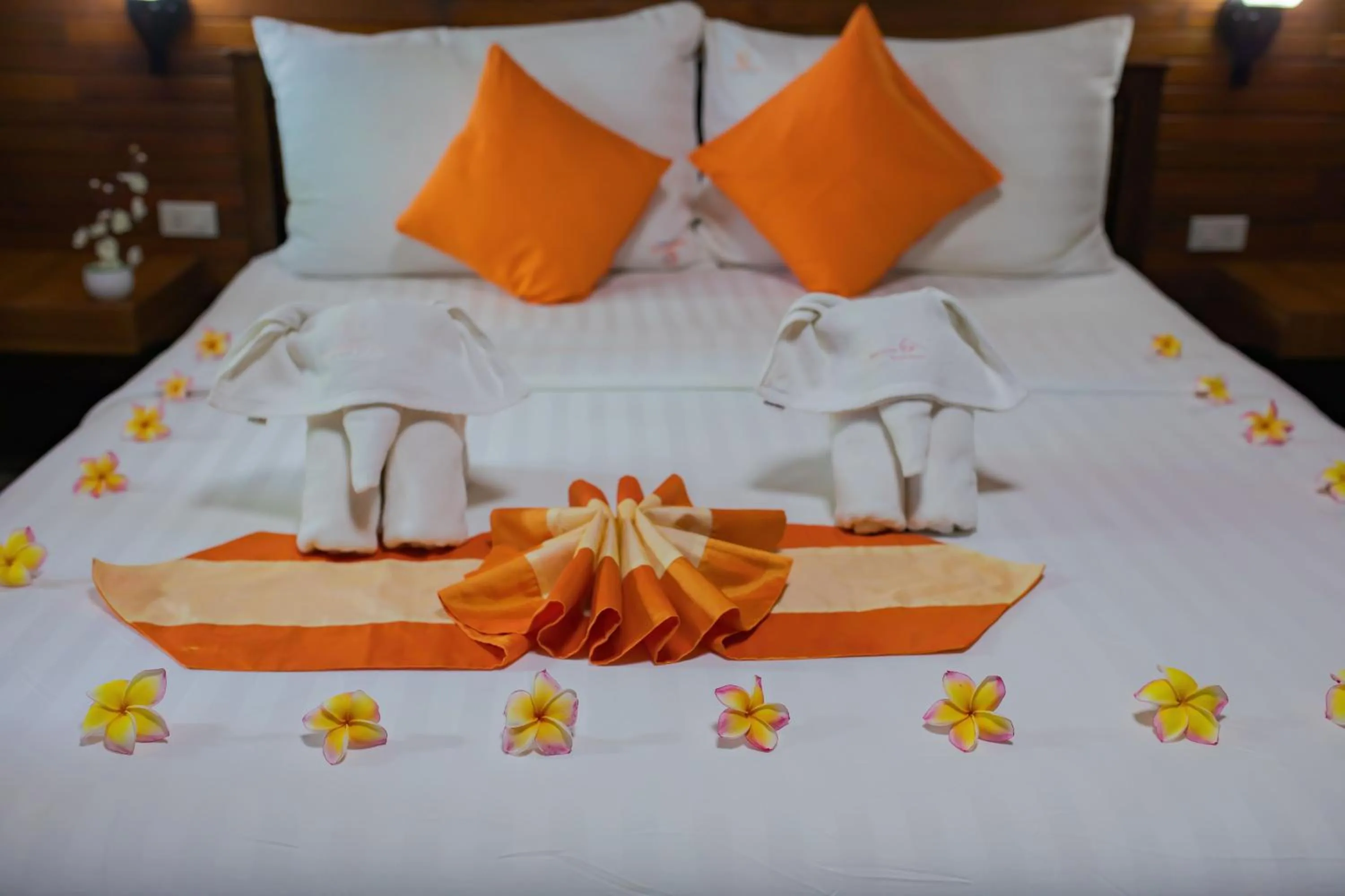 Bed in Chareena Beachside