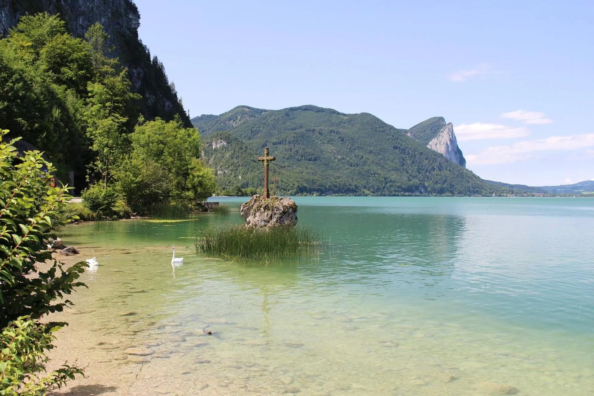 Natural landscape in Schlosshotel Mondsee