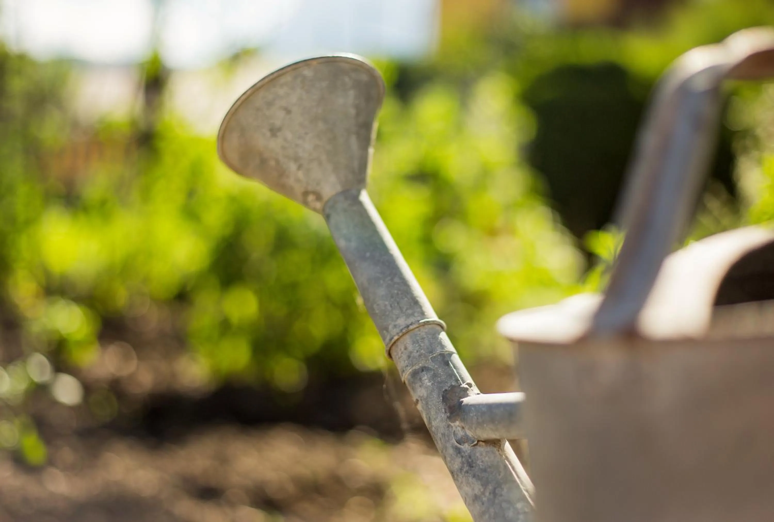 Garden in Hotel Gasthof Zum Kirchenwirt