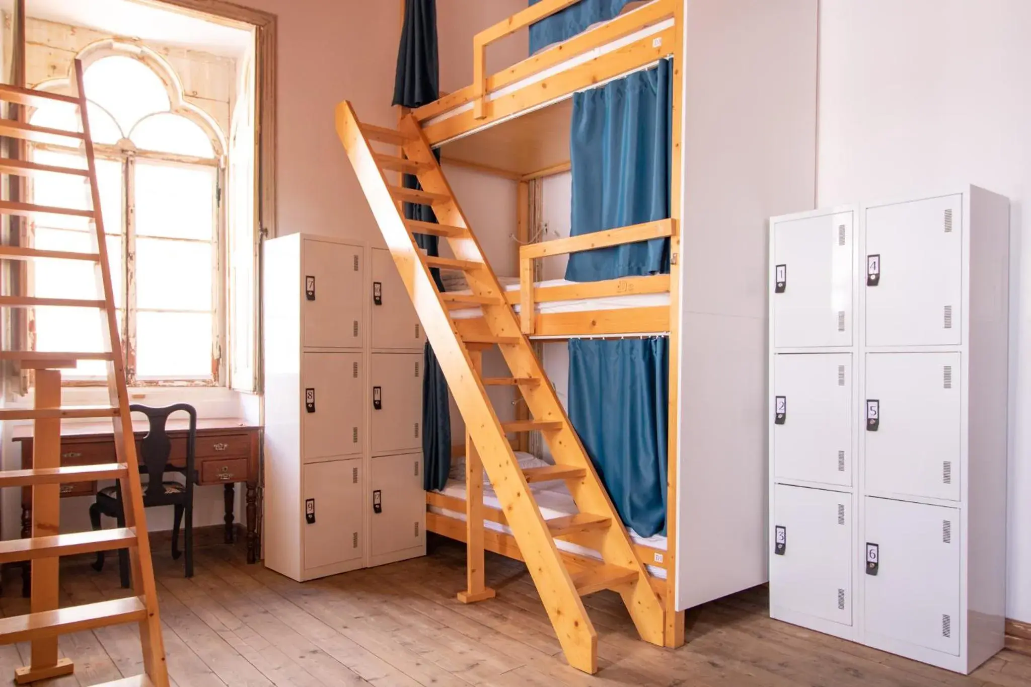 Single Bed in 12-Bed Female Dormitory Room in Tilia Hostel Single Bed in 12-Bed Female Dormitory Room in Tilia Hostel