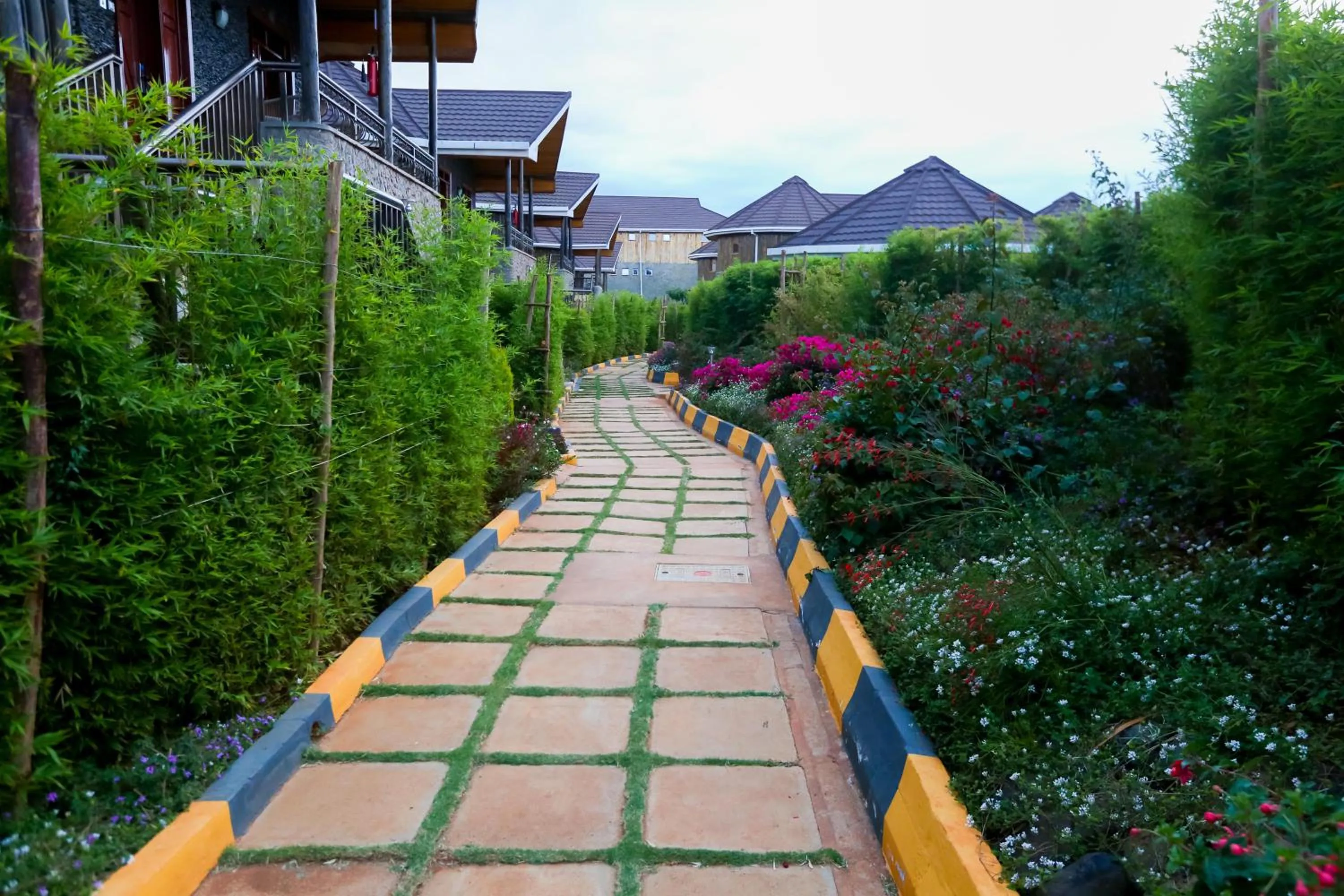 Day in Aberdare Prestige & Royal Cottages