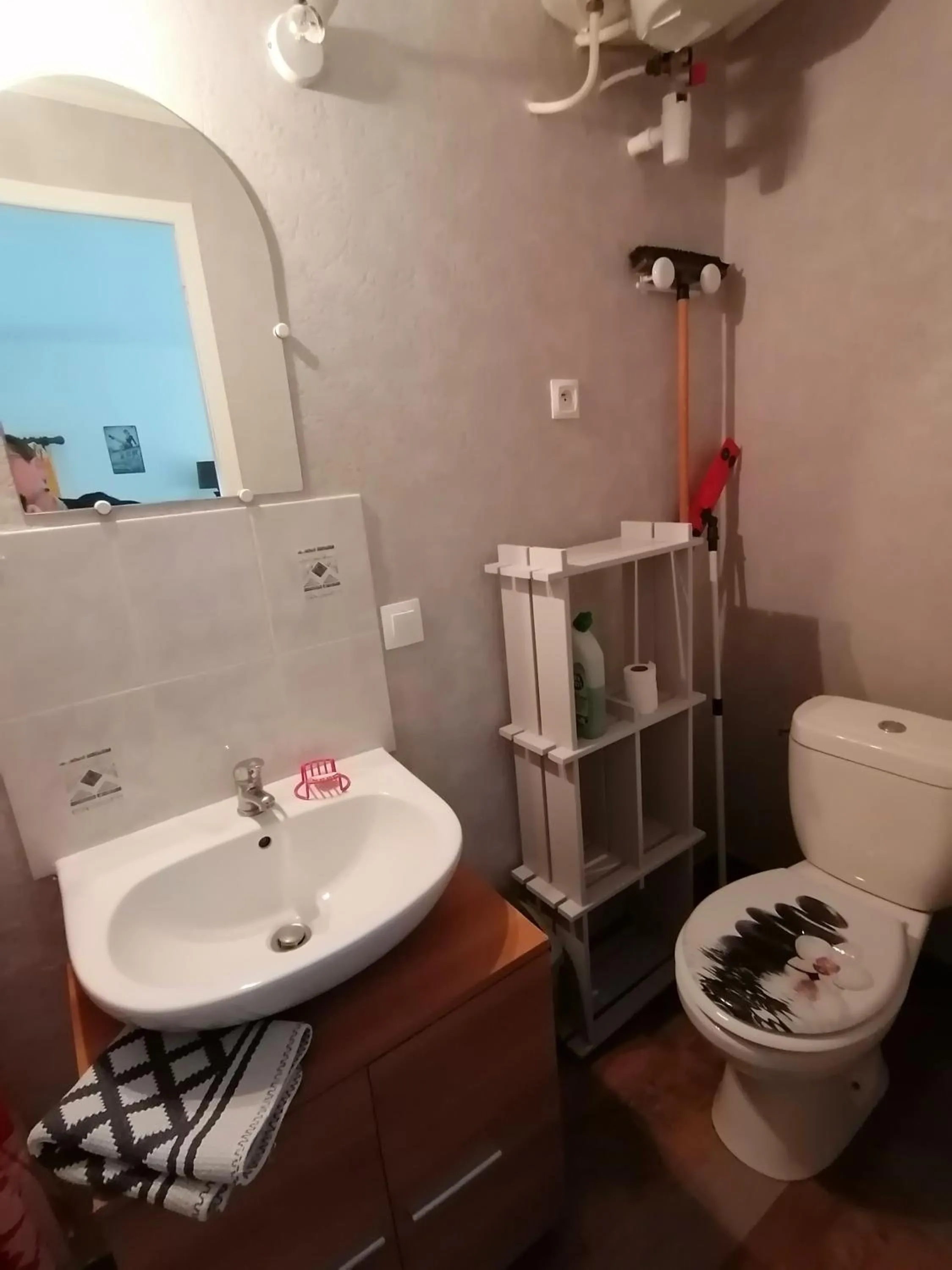 les hirondelles bleues