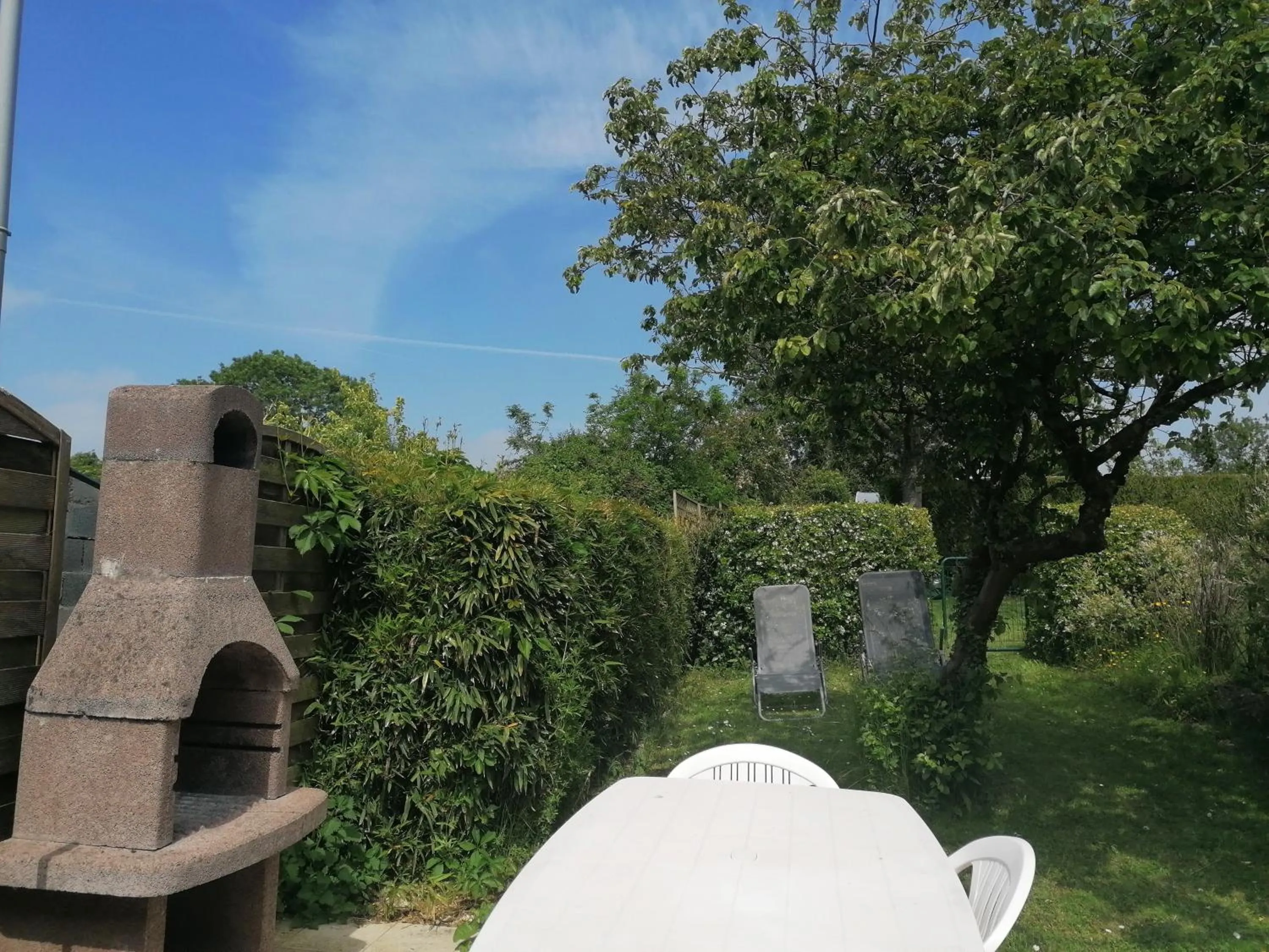 les hirondelles bleues