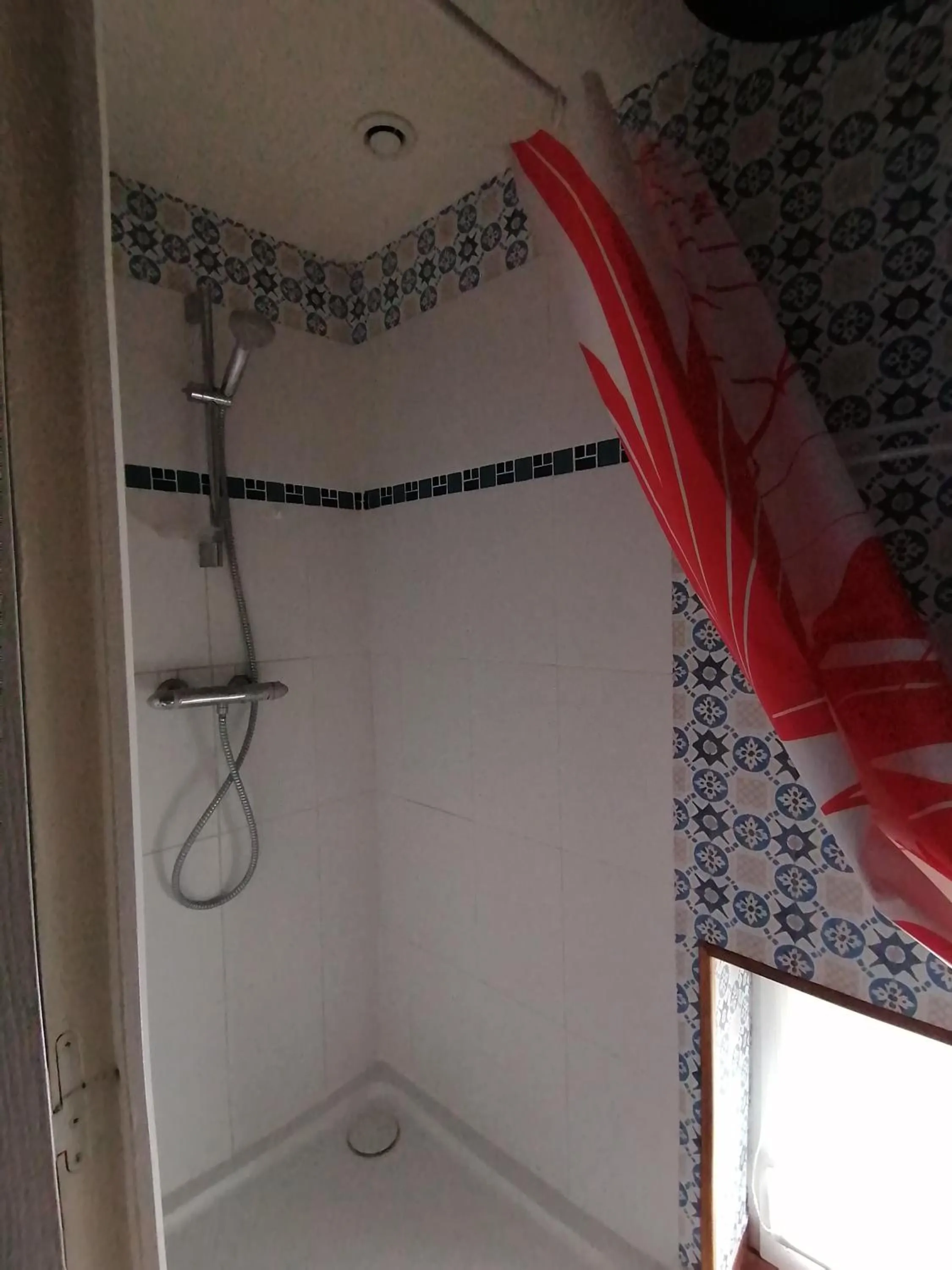 les hirondelles bleues