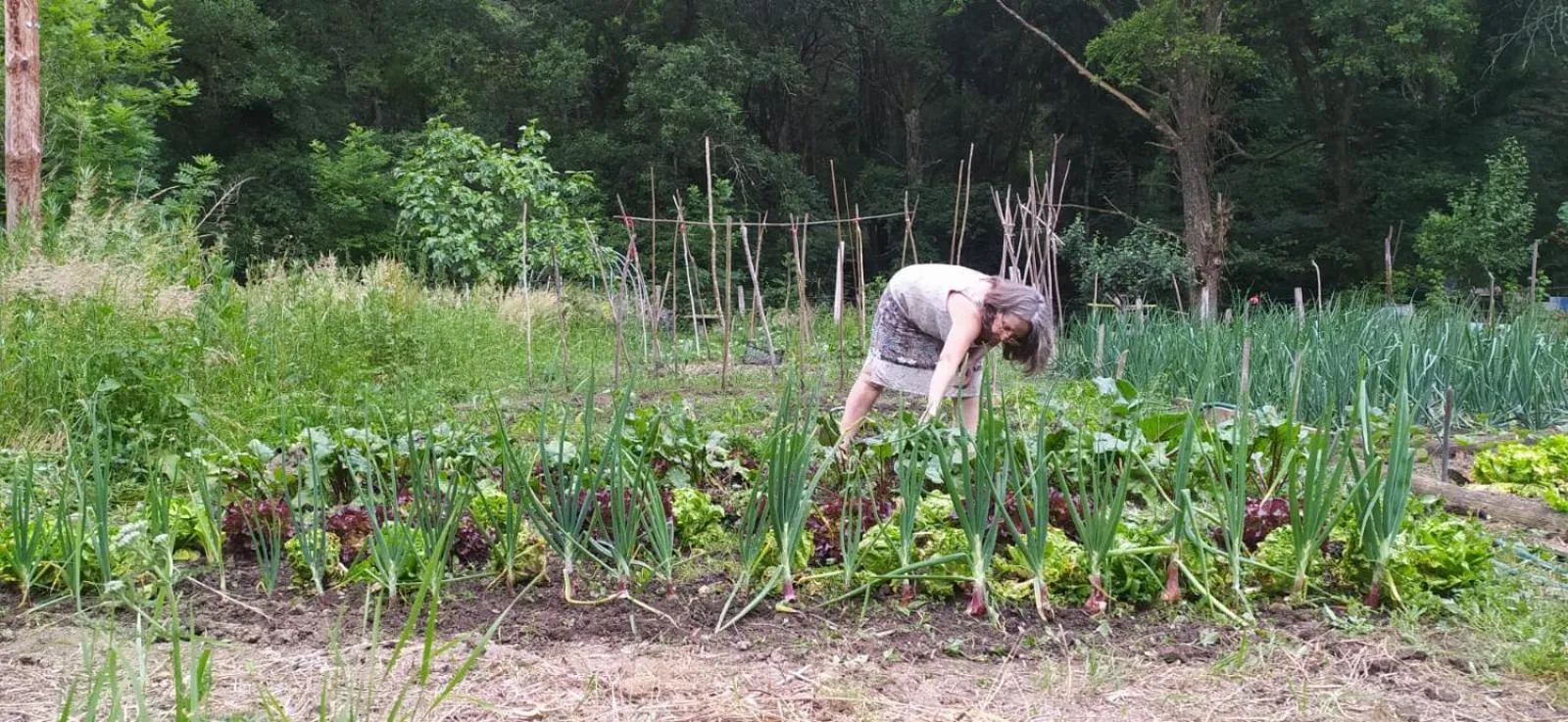 Garden in Casa Rural Ecológica Kaaño Etxea