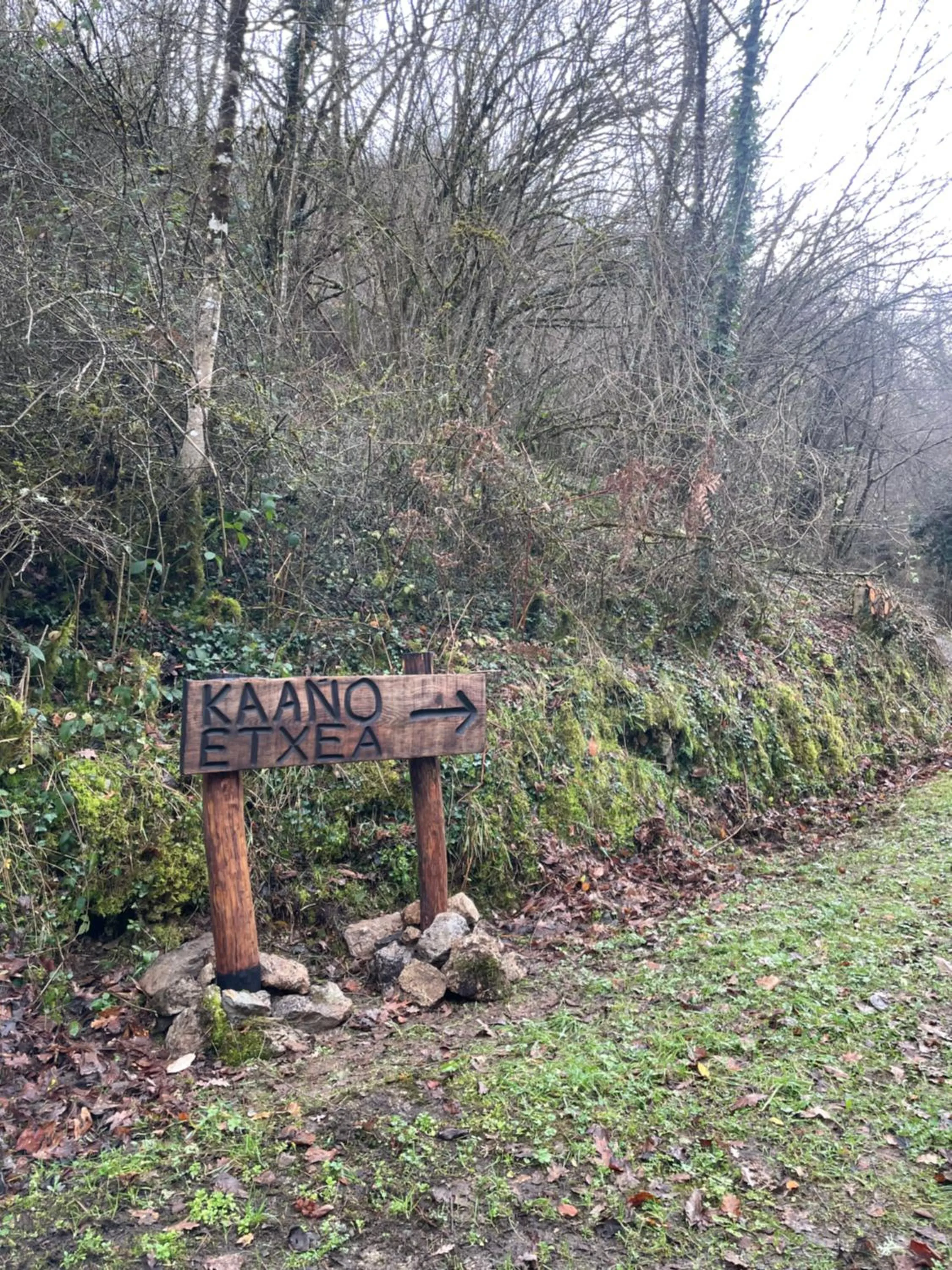 Day in Casa Rural Ecológica Kaaño Etxea el Bosque y la Naturaleza Sentir