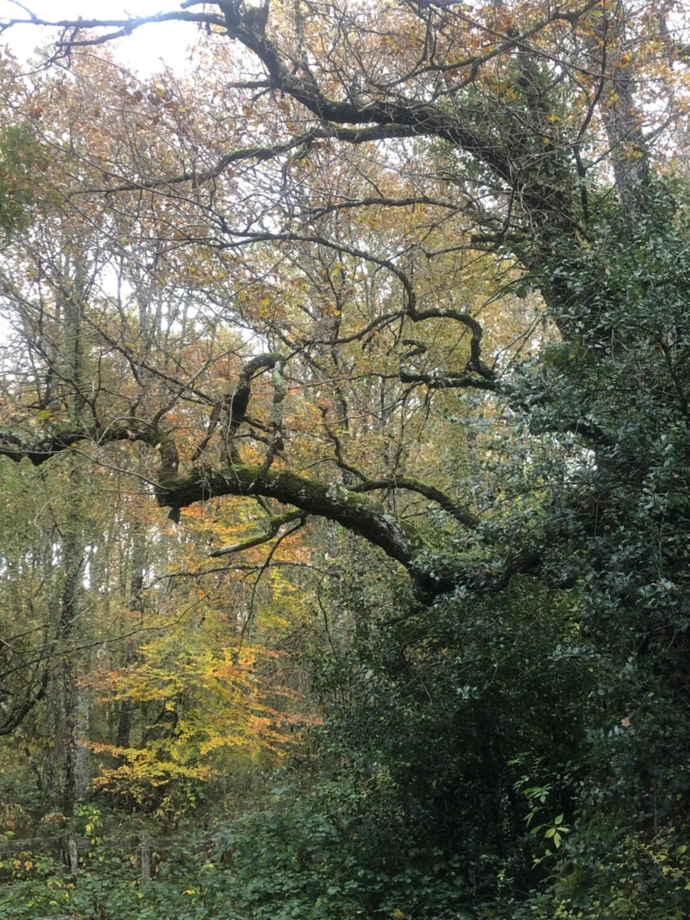 Natural landscape in Casa Rural Ecológica Kaaño Etxea