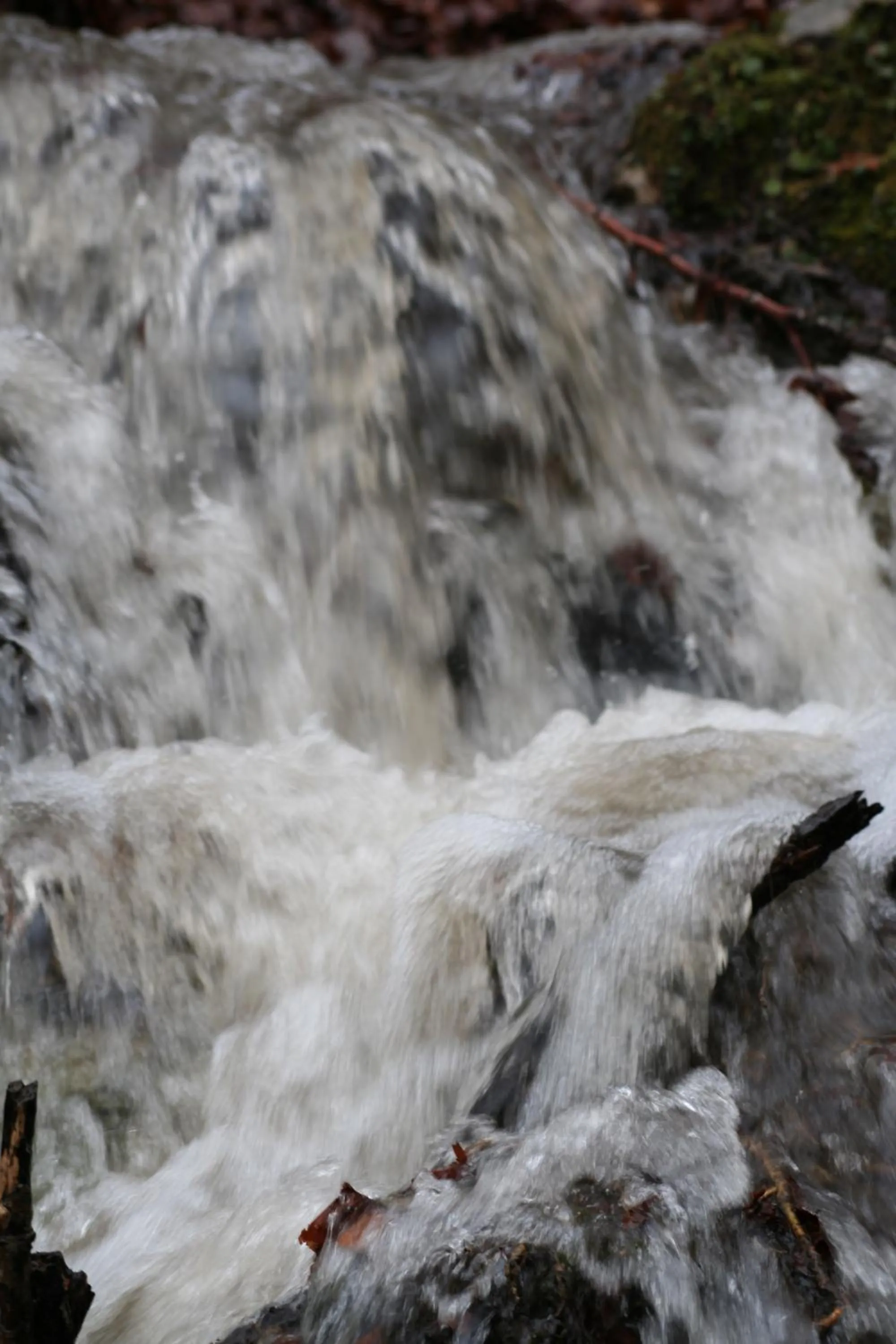 Fishing in Casa Rural Ecológica Kaaño Etxea