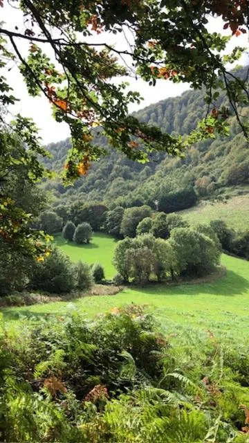 Natural landscape in Casa Rural Ecológica Kaaño Etxea