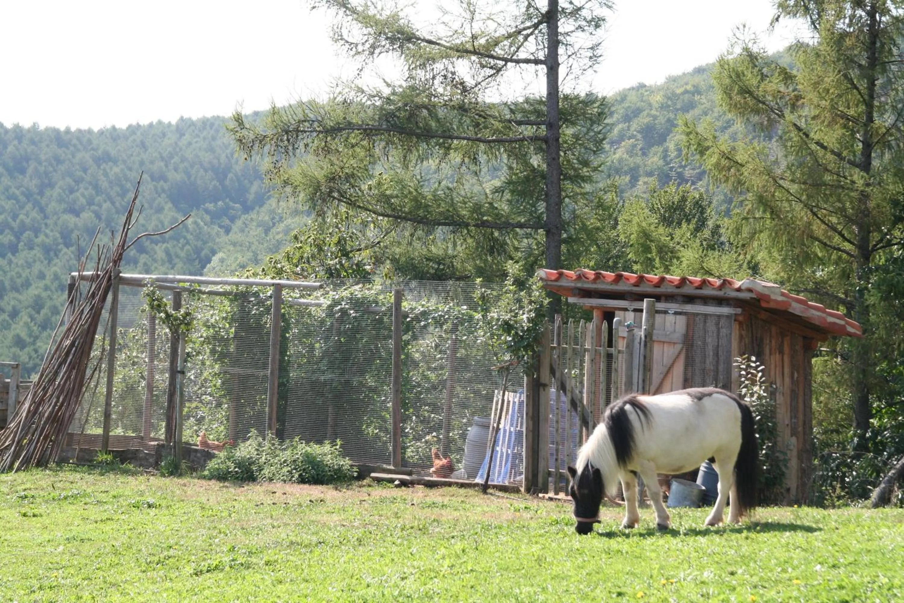 Garden in Casa Rural Ecológica Kaaño Etxea