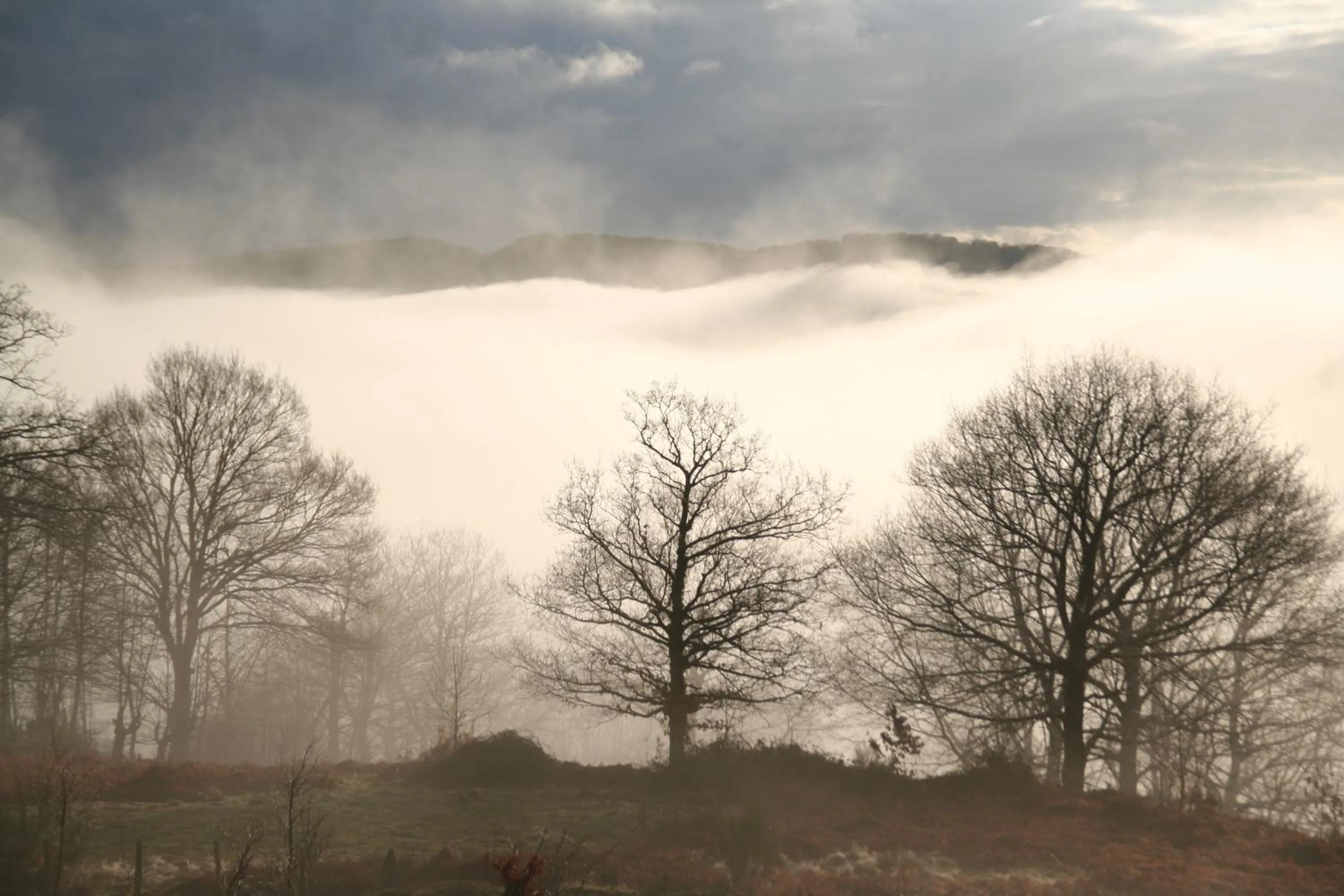 Natural landscape in Casa Rural Ecológica Kaaño Etxea