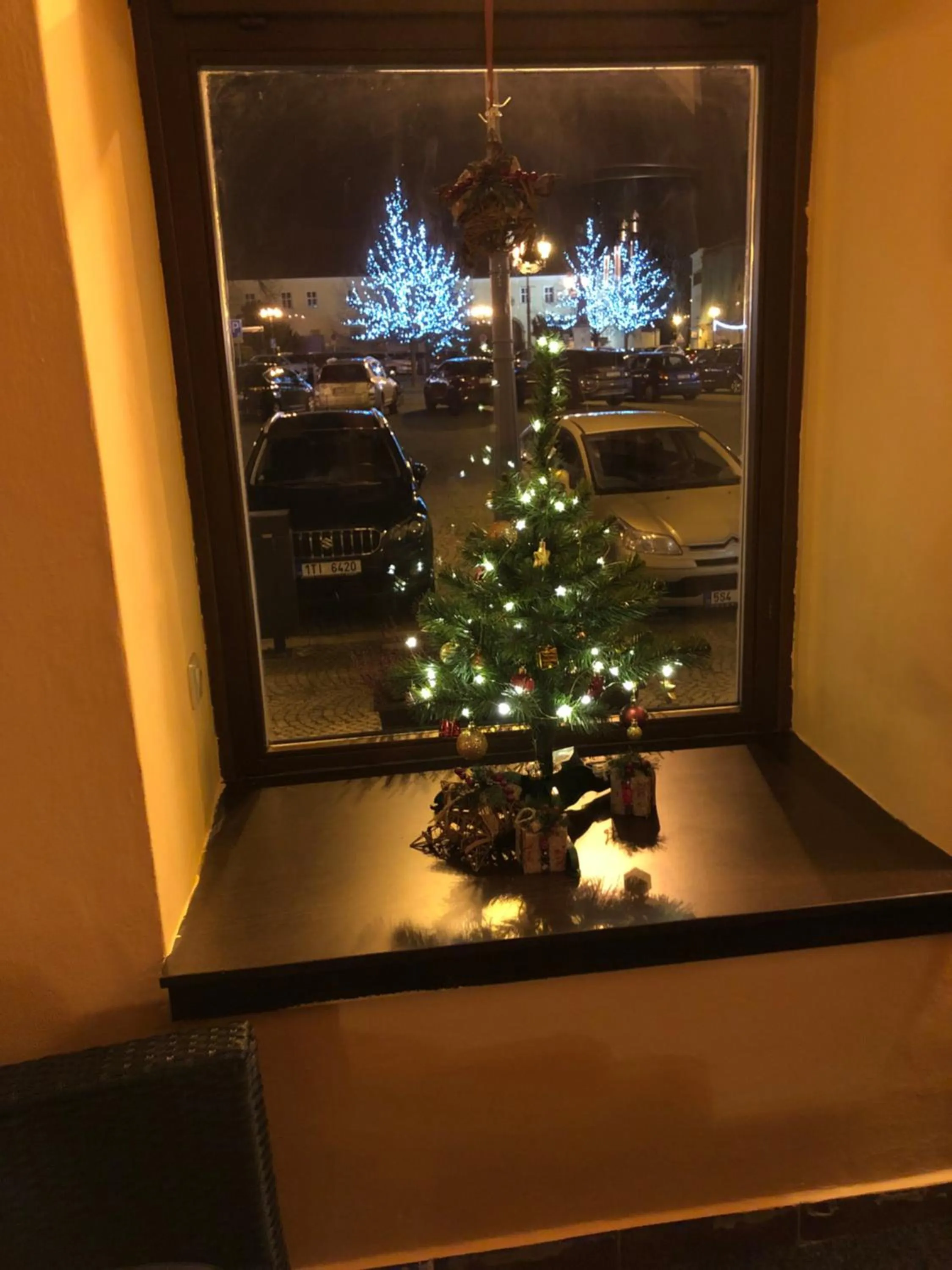 Restaurant/places to eat in Hotel Maxim