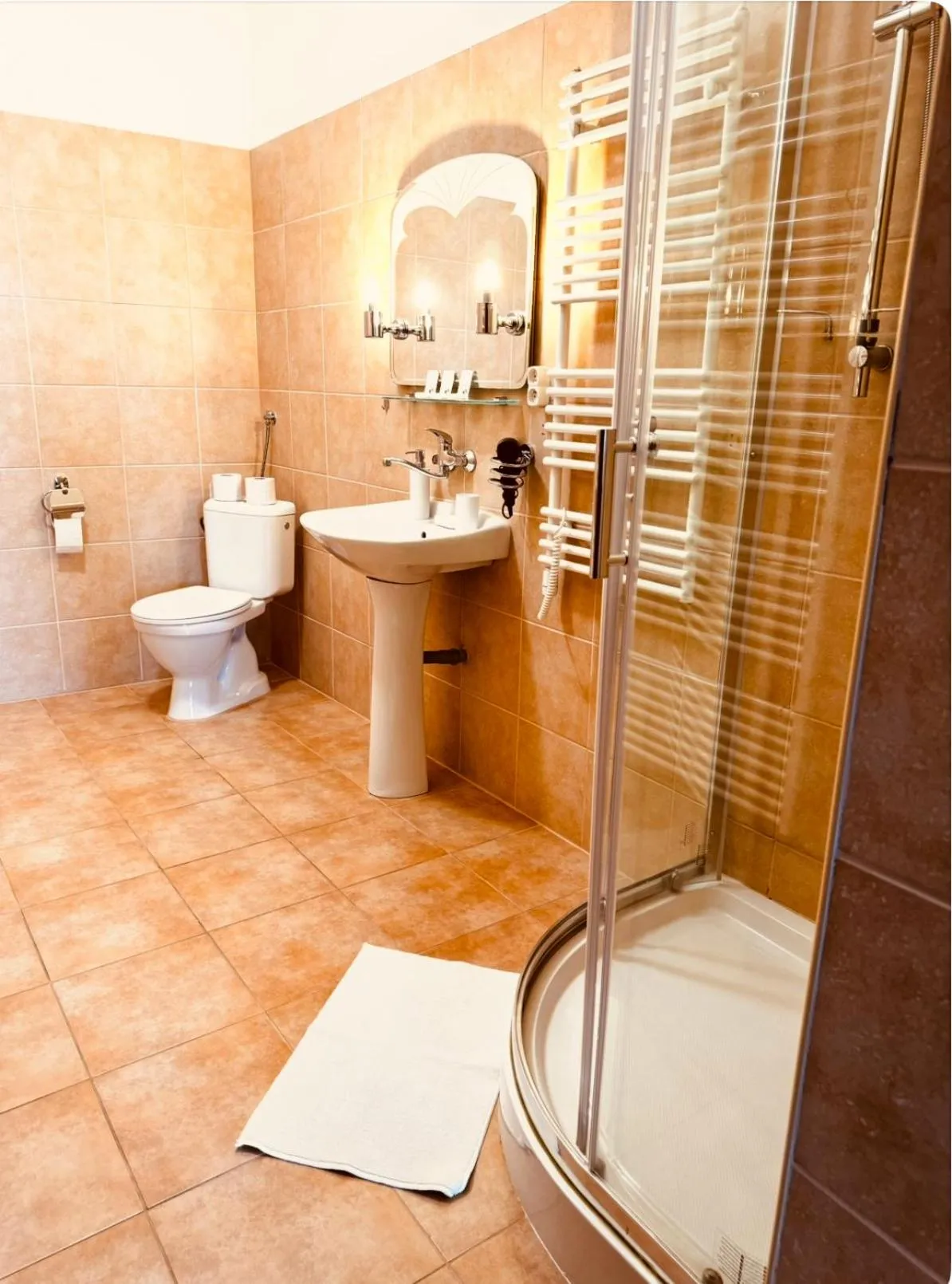 Toilet in Hotel Maxim